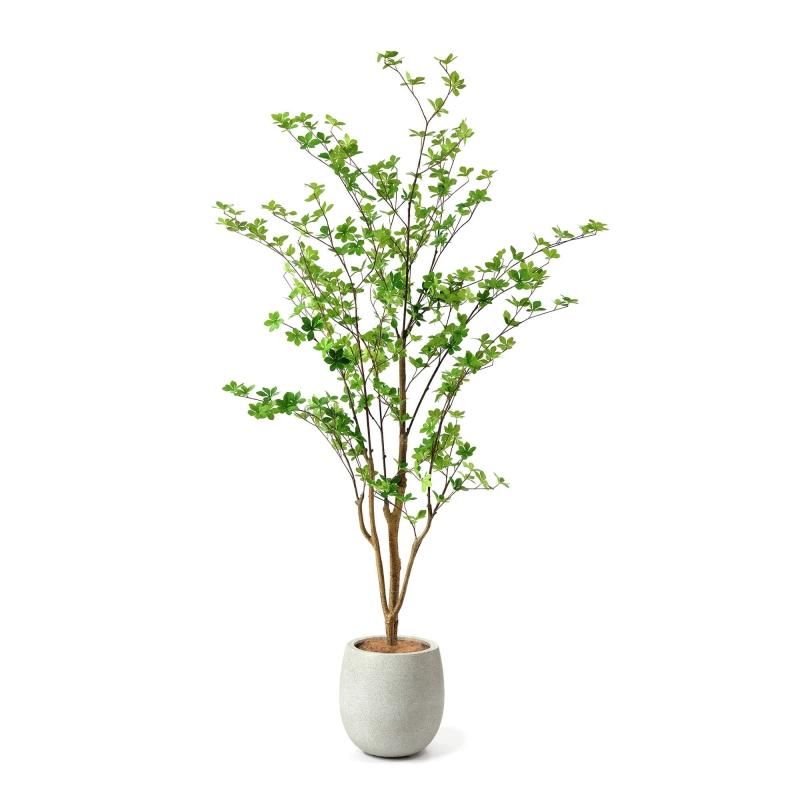 ドウダンツツジの観葉植物 フェイクグリーン | 造花専門店プリマ