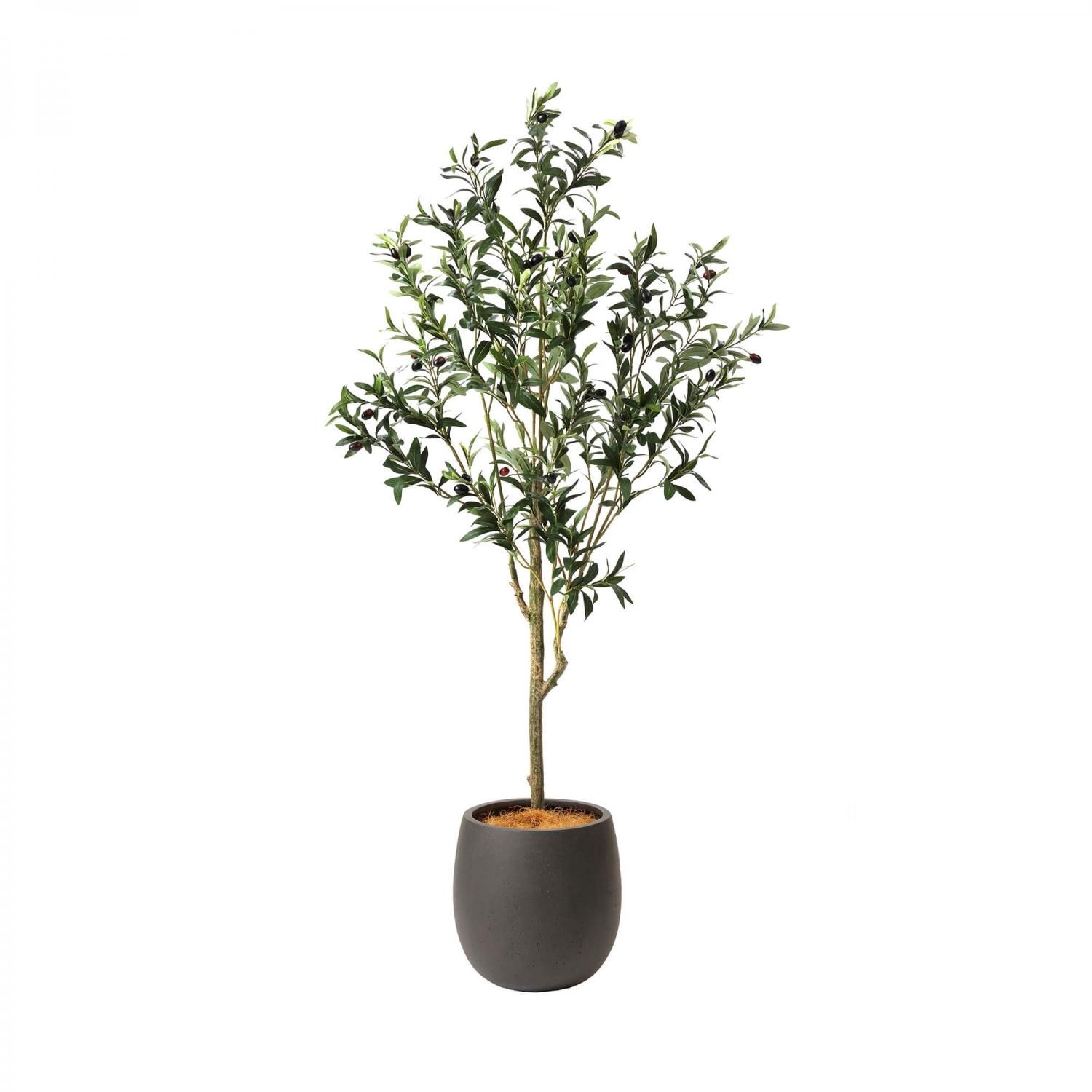 オリーブ の観葉植物 フェイクグリーン | 造花専門店プリマ