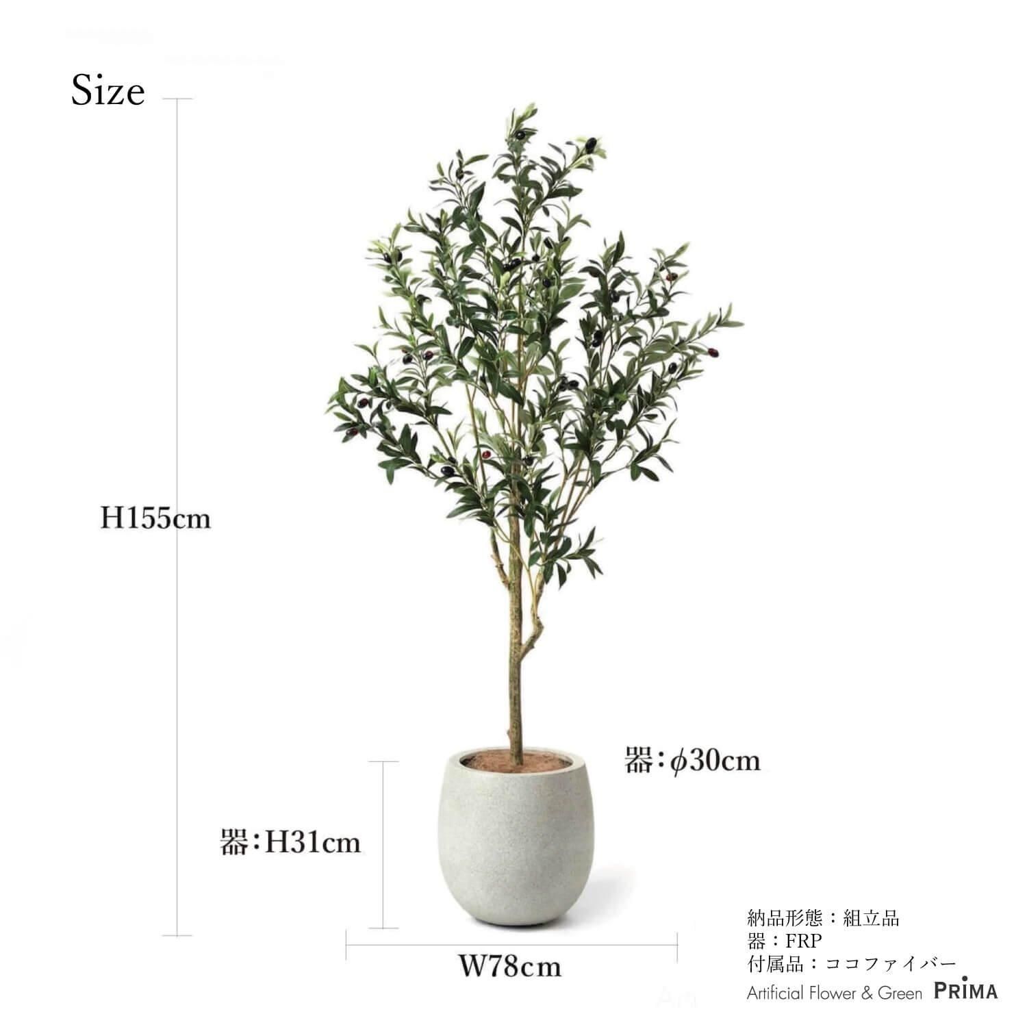 オリーブの観葉植物 フェイクグリーン | 造花専門店プリマ オリーブの観葉植物 フェイクグリーン | 造花専門店プリマ