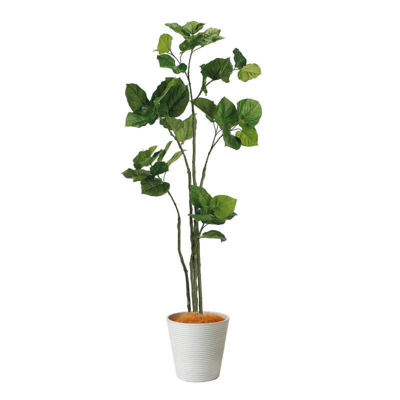 ウンベラータ GWプランター H163cm ボーダーホワイト 観葉植物 フェイクグリーン eco 【別倉庫直送品】