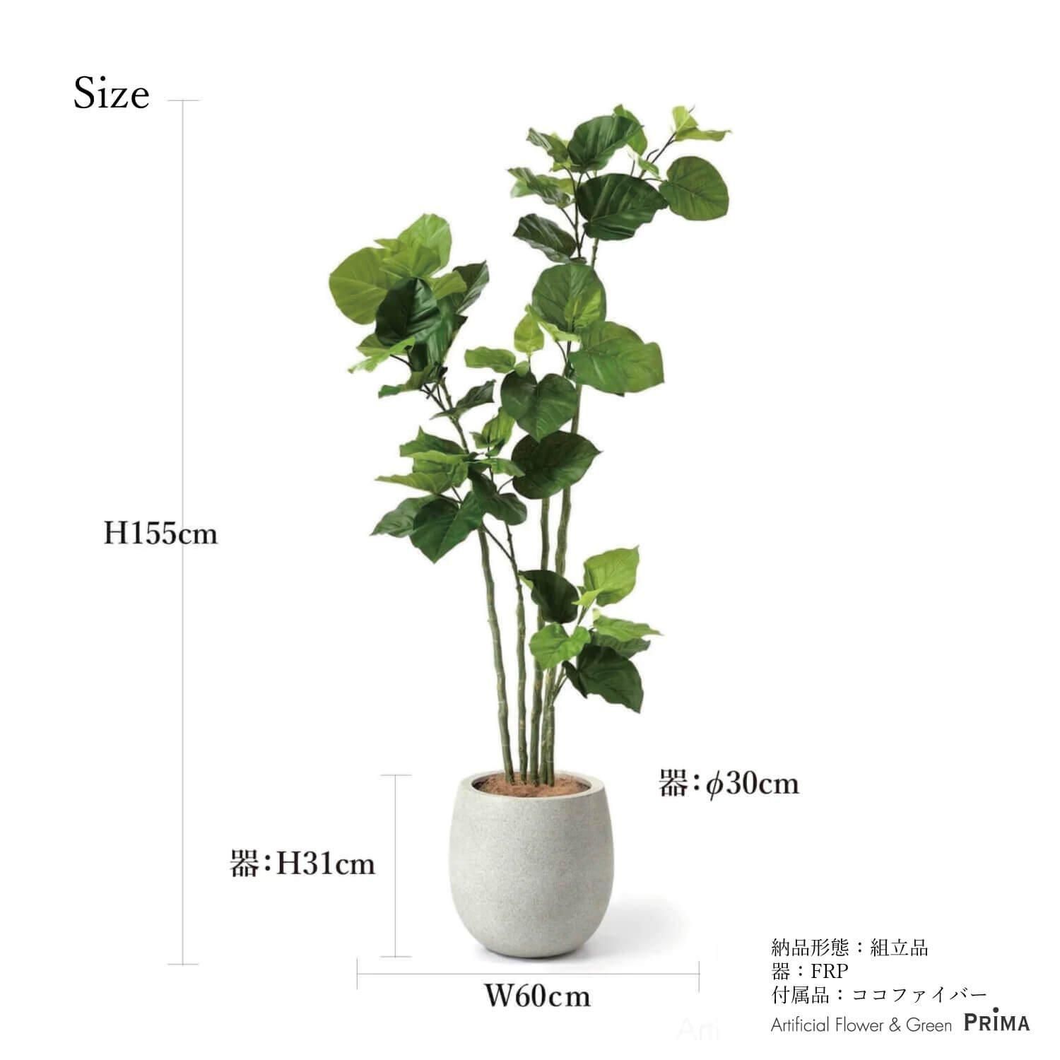 ウンベラータの観葉植物 フェイクグリーン | 造花専門店プリマ