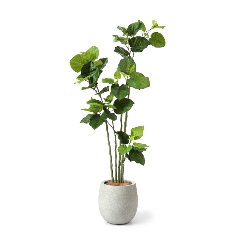 ウンベラータ エッグポット H155cm アイボリー 観葉植物 フェイクグリーン eco 【別倉庫直送品】 