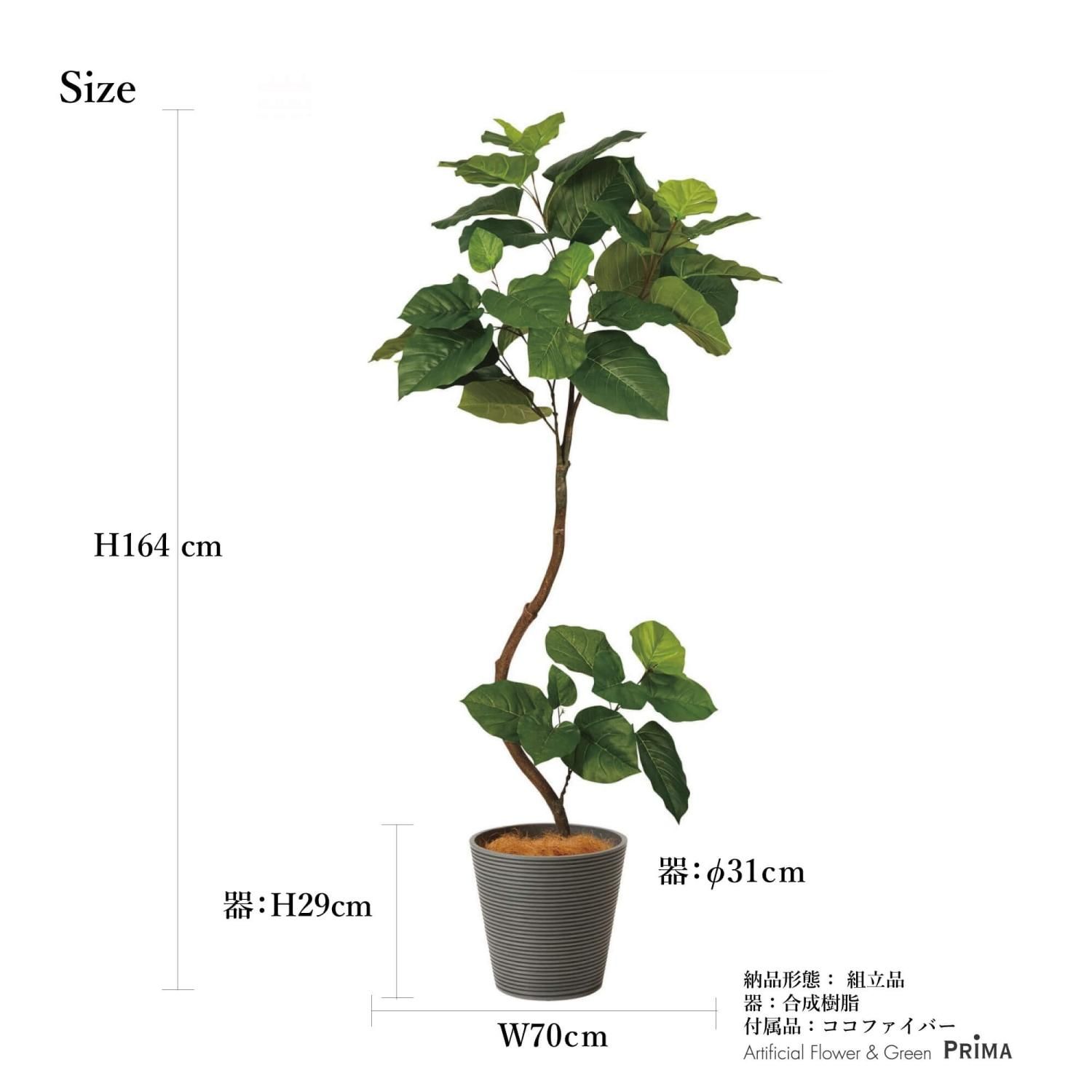 ウンベラータの観葉植物 フェイクグリーン | 造花専門店プリマ ウンベラータの観葉植物 フェイクグリーン | 造花専門店プリマ