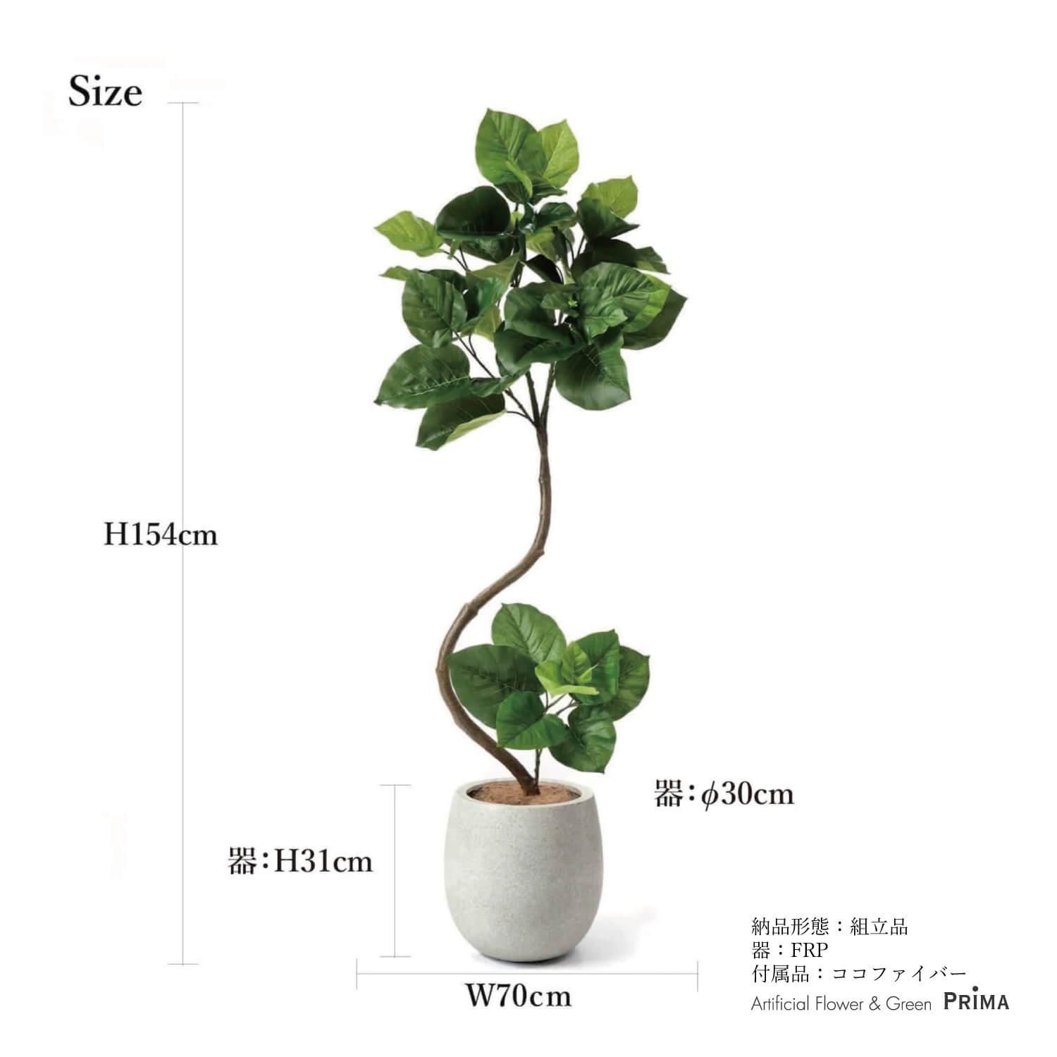 ウンベラータの観葉植物 フェイクグリーン | 造花専門店プリマ