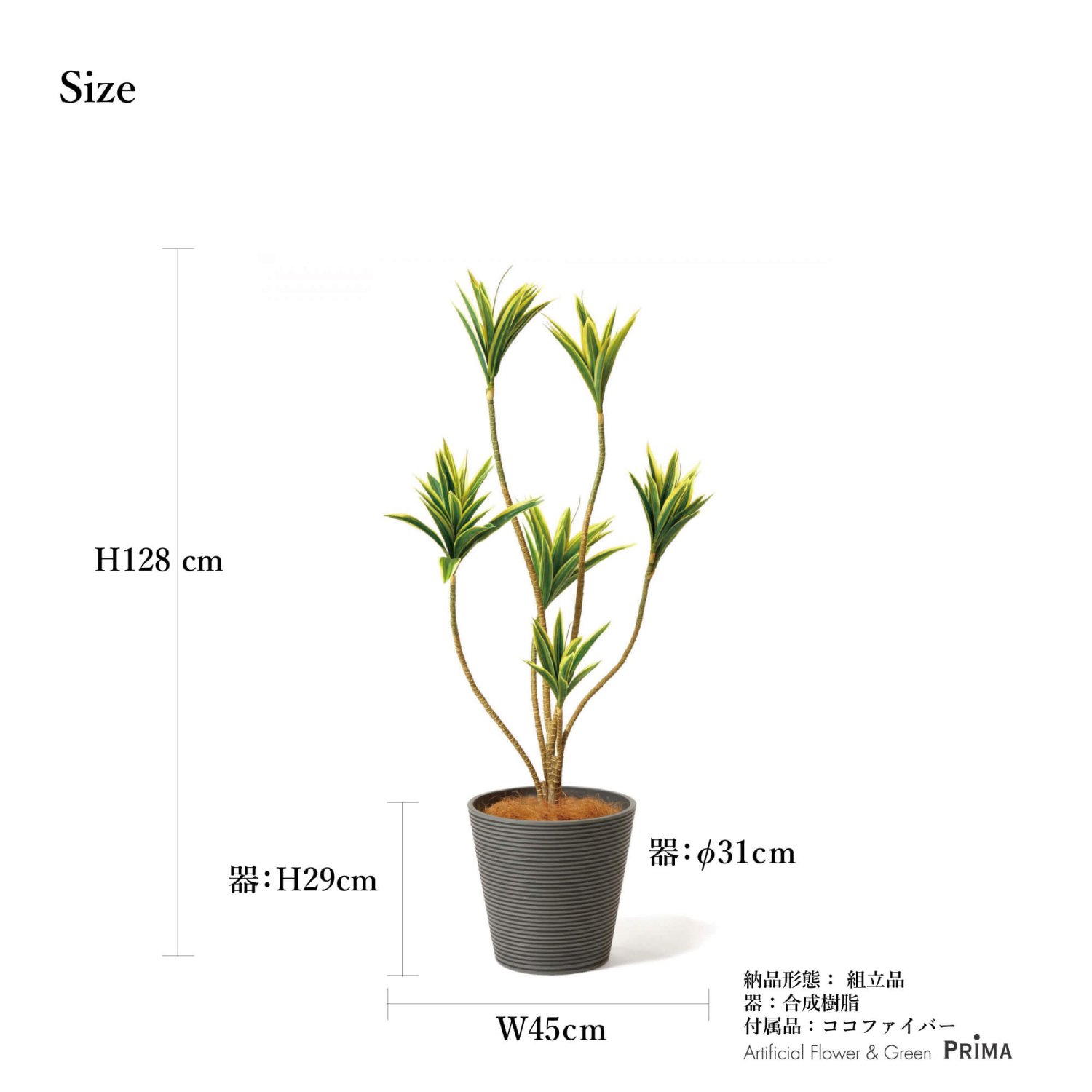 ɥ饻 GWץ󥿡 H128cm ܡ졽 տʪ ե꡼ eco Ҹľʡ 