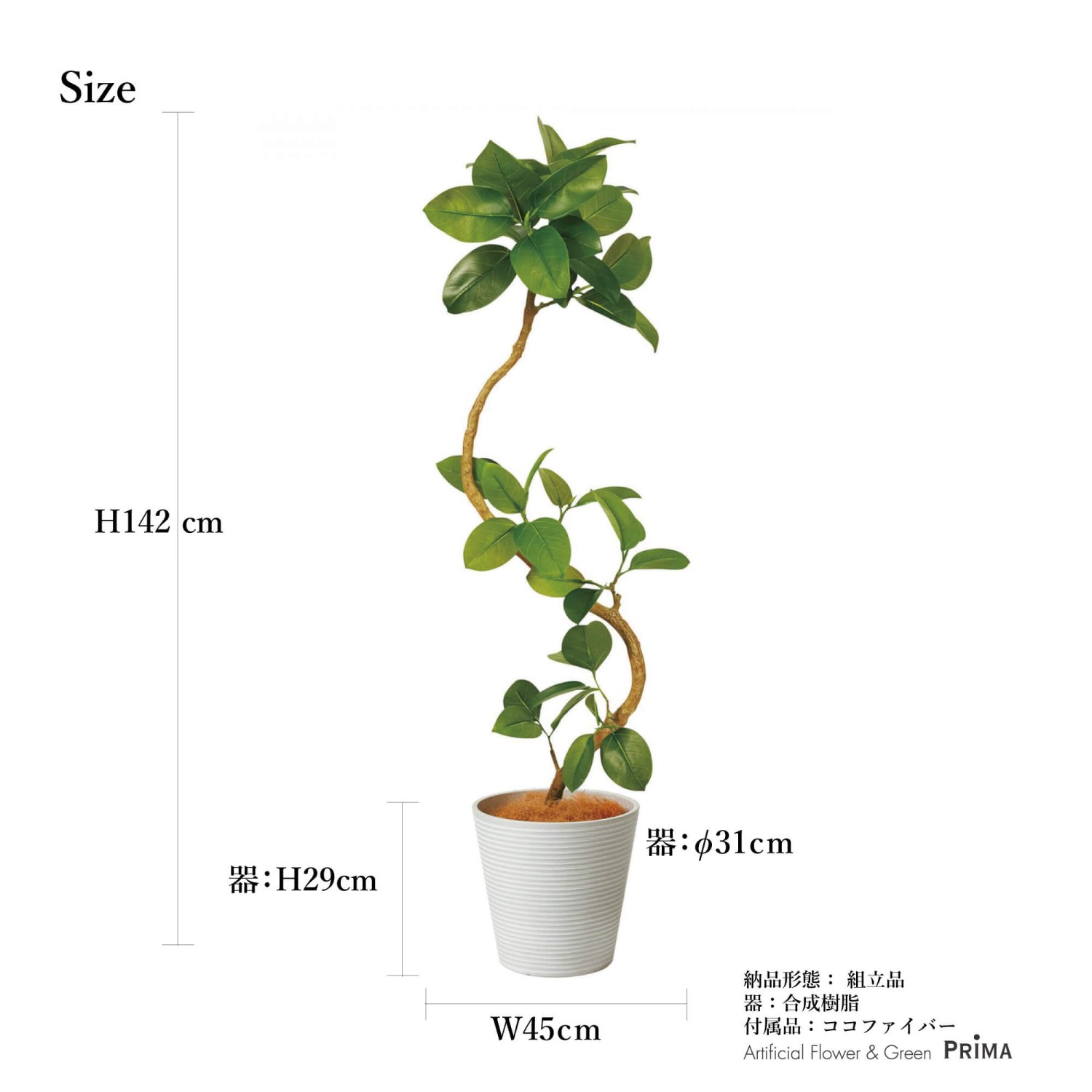 フィカスアルテシマ GWプランター H142cm ボーダーホワイト 観葉植物 フェイクグリーンeco 【別倉庫直送品】