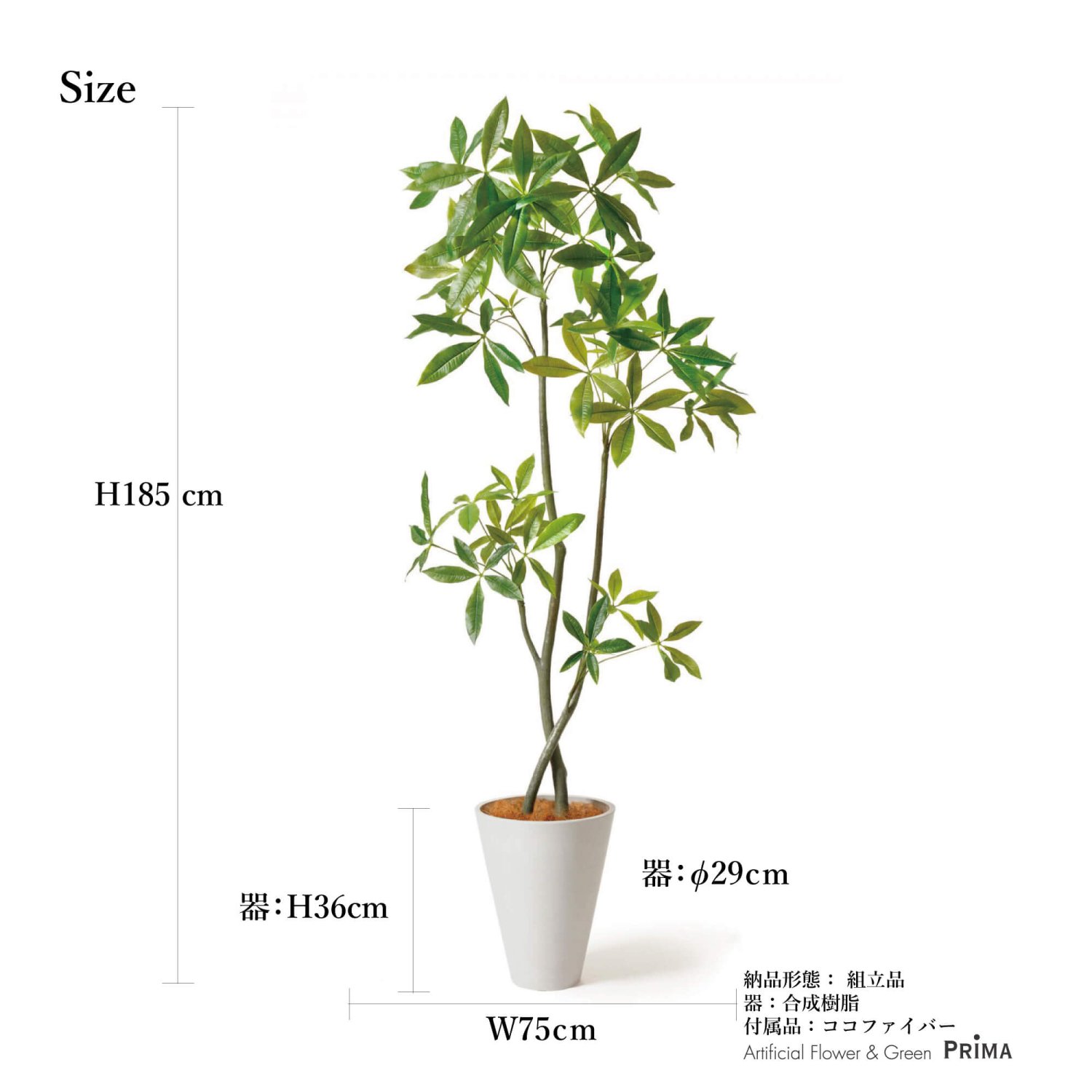 パキラ GWプランター H185cm ホワイト 観葉植物 フェイクグリーン 【別倉庫直送品】