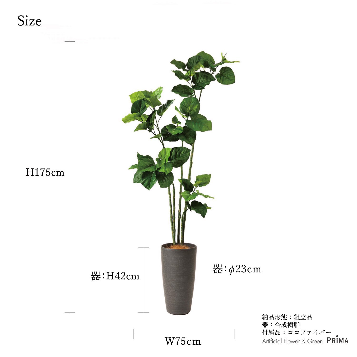 ウンベラータ TPプランター H175cm  観葉植物 フェイクグリーン eco 【別倉庫直送品】 