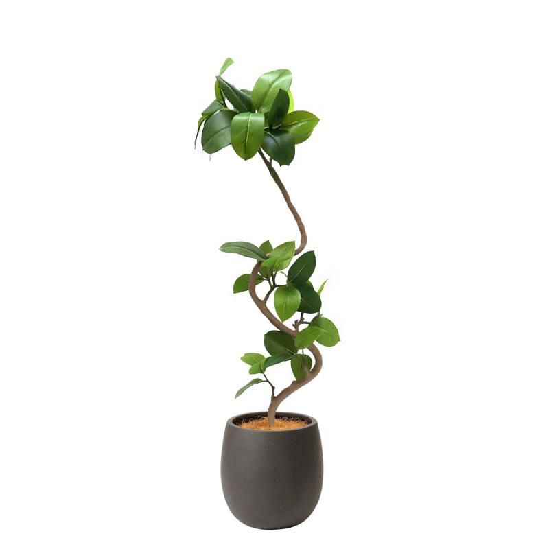 եƥ åݥå H138cm ֥å տʪ ե꡼ eco Ҹľʡ 