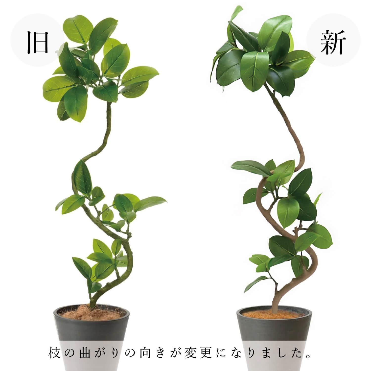 եƥ TPץ󥿡 H150cm տʪ ե꡼ eco Ҹľʡ 