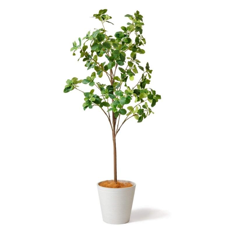 光触媒人工観葉植物ウォールグリーンフェイクグリーンマグノリア