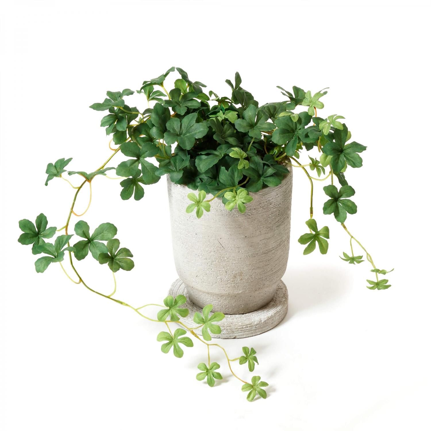 20%OFF ʸ¤ 奬Х ƥȥץ󥿡S H20cm տʪ ե꡼<img class='new_mark_img2' src='https://img.shop-pro.jp/img/new/icons2.gif' style='border:none;display:inline;margin:0px;padding:0px;width:auto;' />