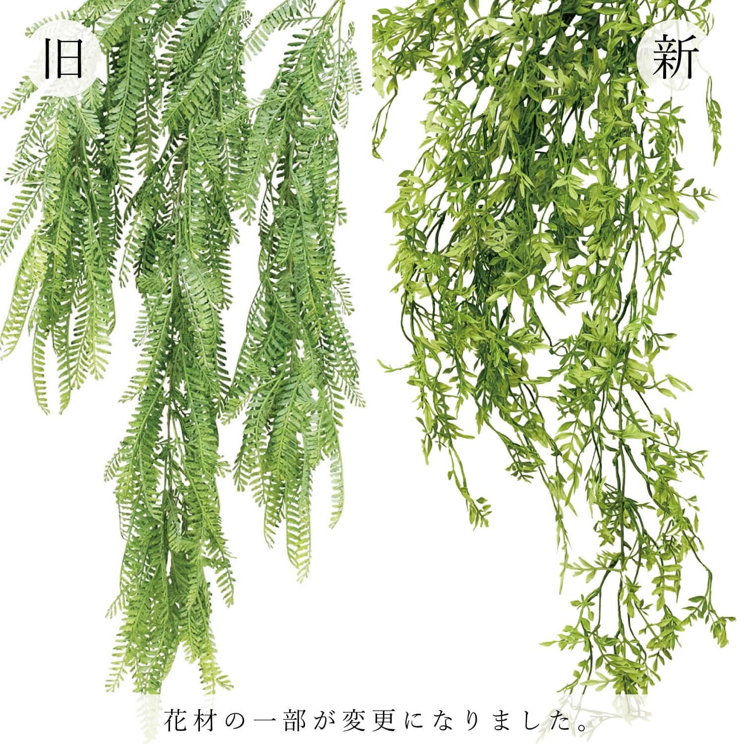 ƥå󥽥 ê奰꡼ տʪ ե꡼ 