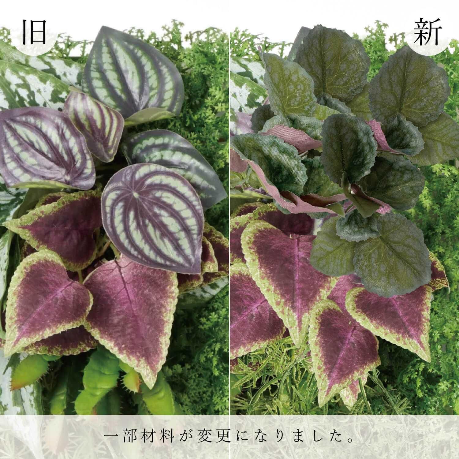 ꡼ѥͥC 49cm  в ե꡼