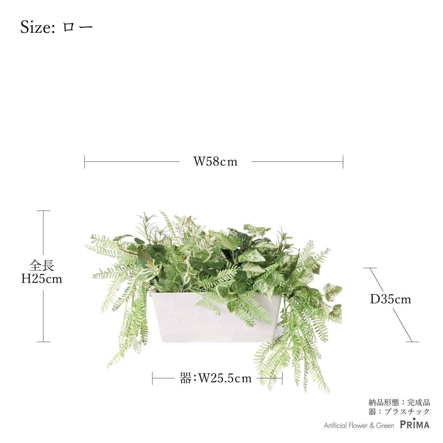 ϡ 󥿡ѡơH25cm տʪ ե꡼