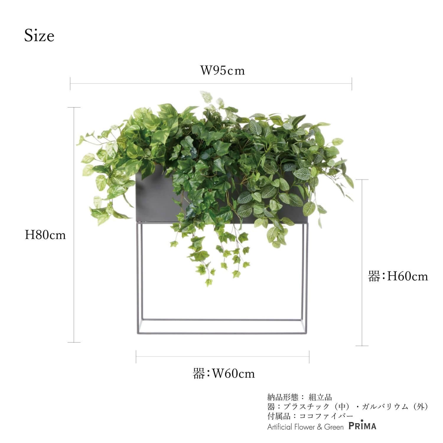 ߥåA S W60cm 졼 ѡơ󥰥꡼ ץ󥿡 Ҹľʡ  