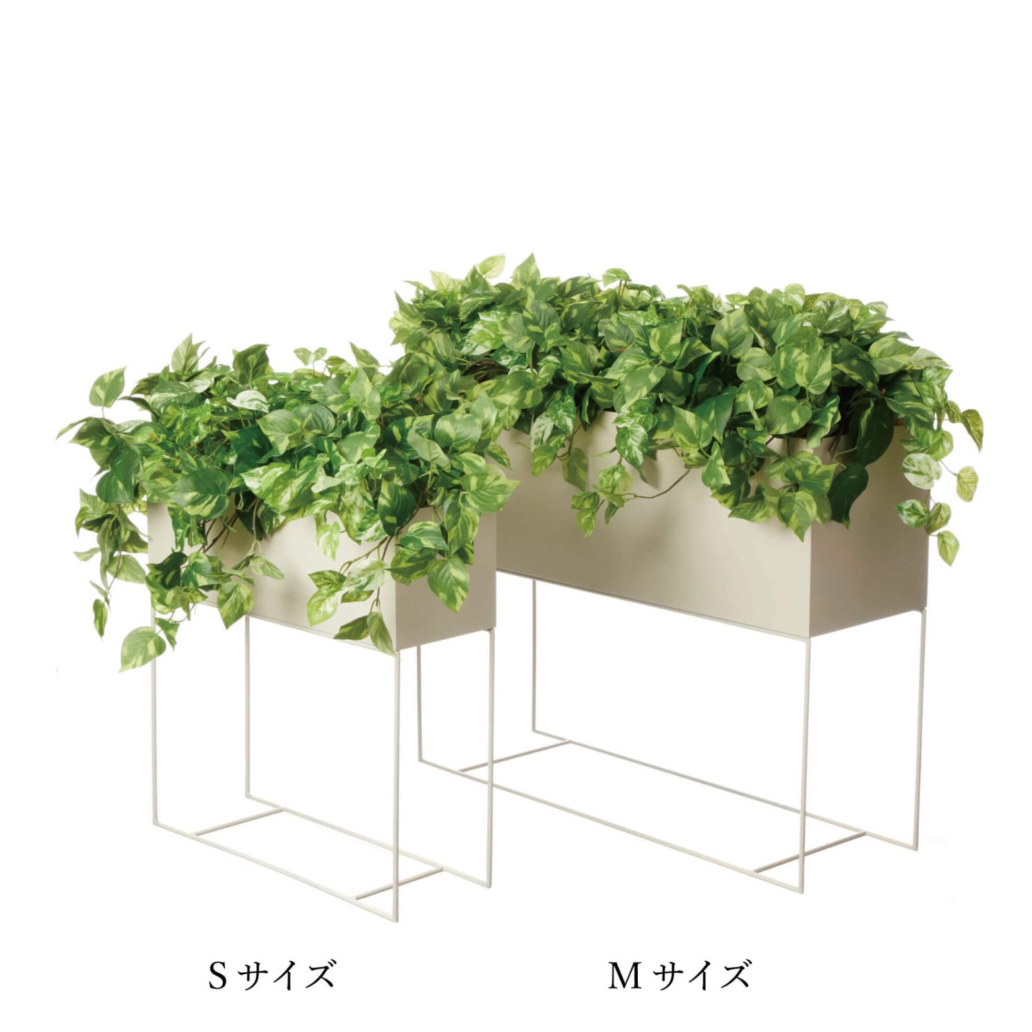 ݥȥ M W90cm ١ ѡơ󥰥꡼ ץ󥿡 Ҹľʡ 