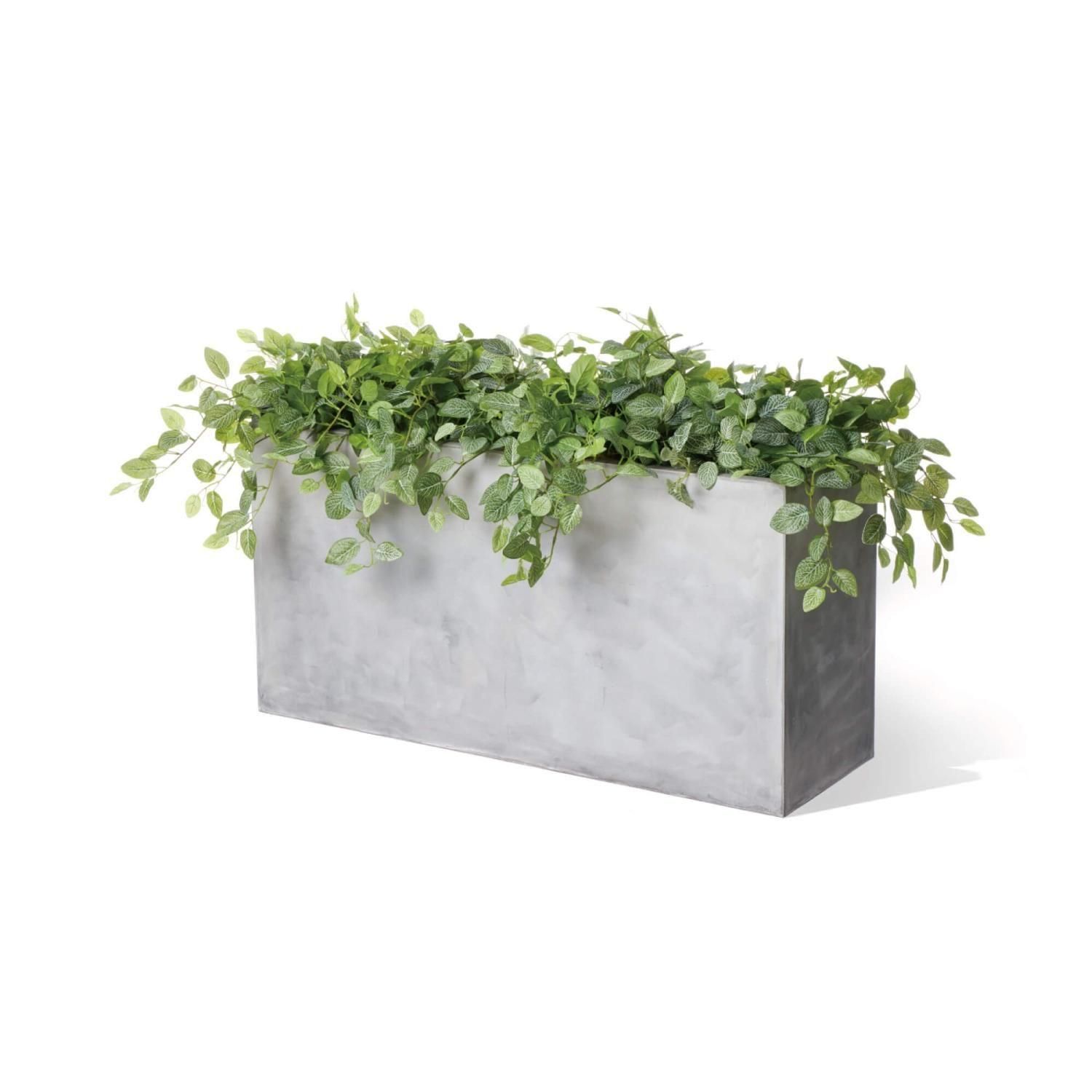 եåȥ˥ ƥ W100cm 饤ȥ졼 ѡơ󥰥꡼ ץ󥿡  Ҹľʡ