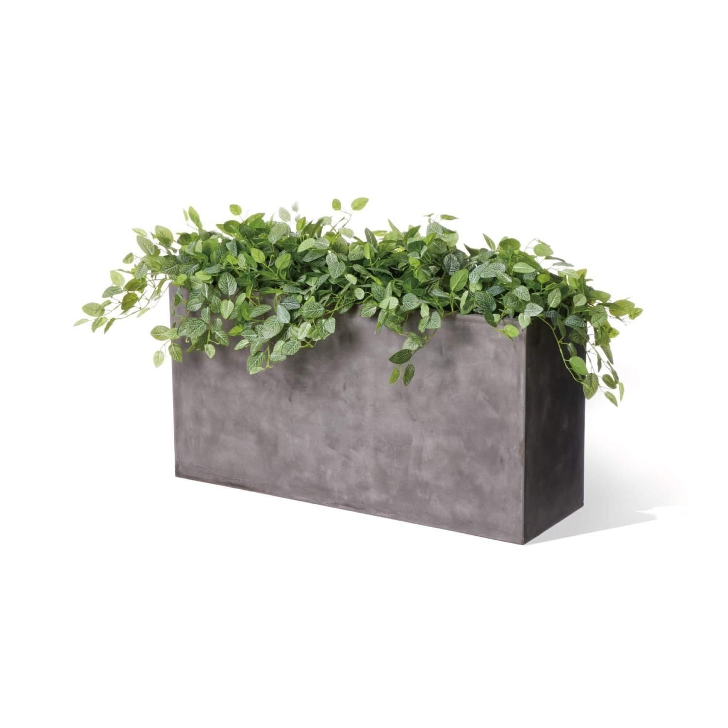 եåȥ˥ ƥ W100cm 졼 ѡơ󥰥꡼ ץ󥿡  Ҹľʡ