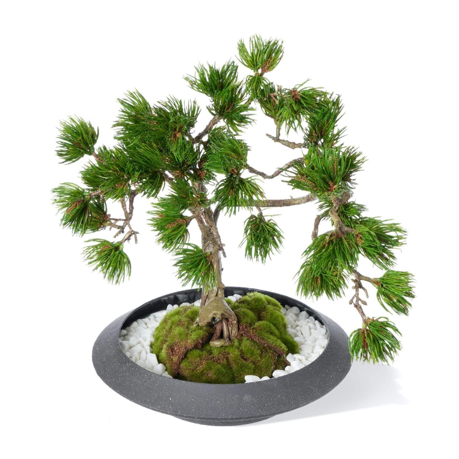 幅50cmフェイク盆栽 盆栽 松 人工盆栽 フェイクグリーン 造花 大 50cm