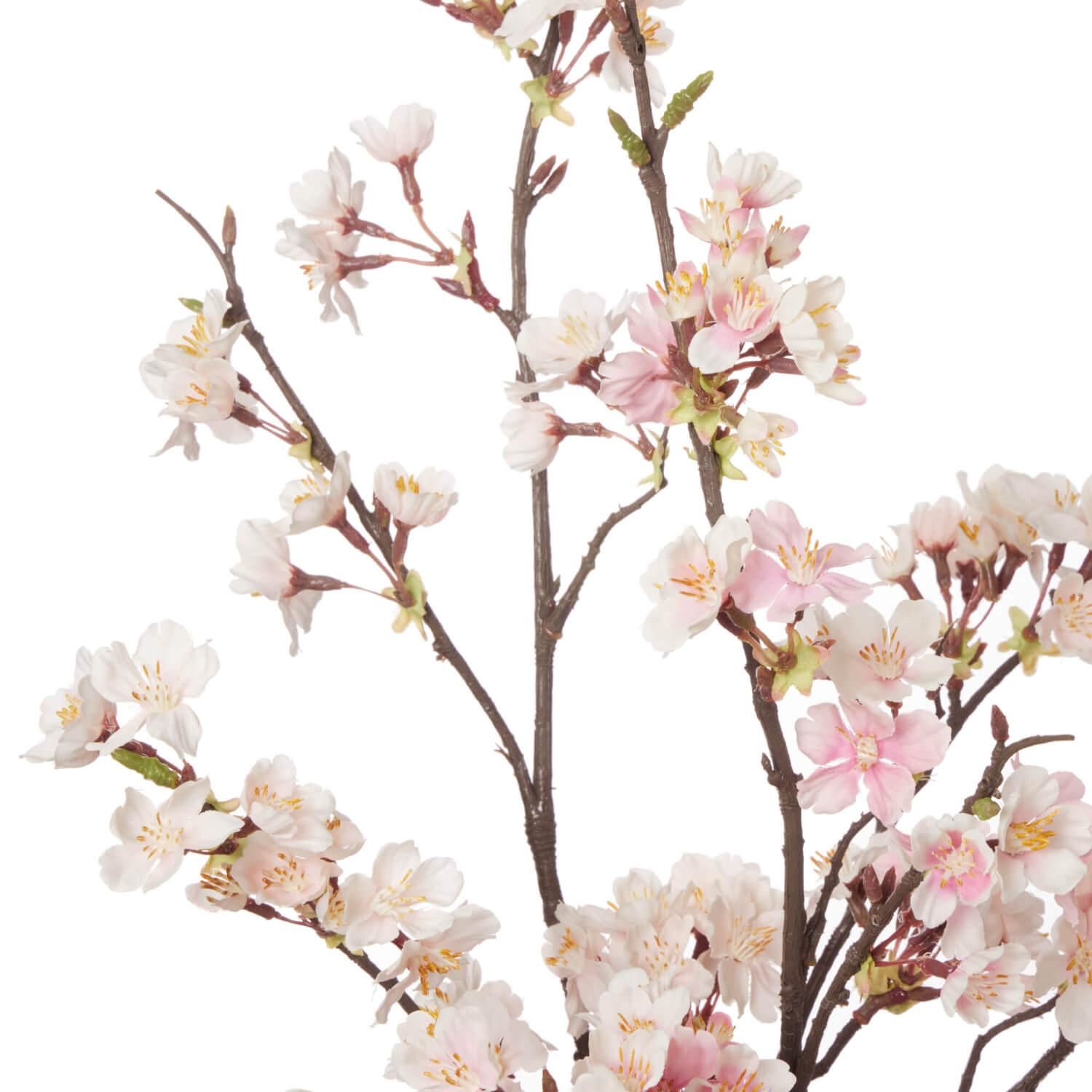 50%OFF Ÿ ʸ¤  ֥S ¤ ե󥸥 <img class='new_mark_img2' src='https://img.shop-pro.jp/img/new/icons2.gif' style='border:none;display:inline;margin:0px;padding:0px;width:auto;' />