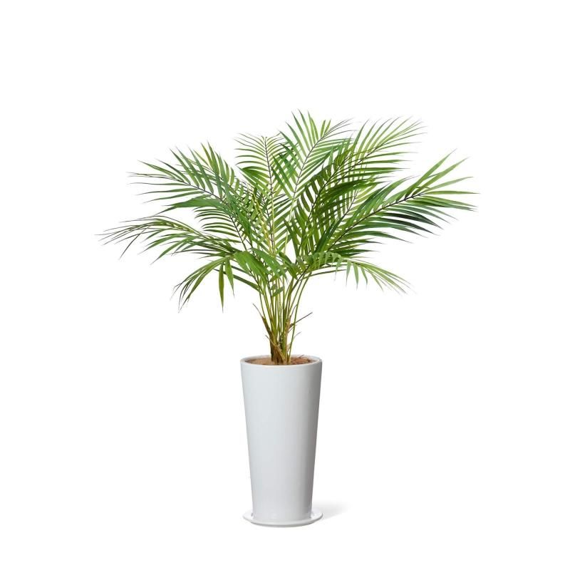 フロアグリーン（大型） ヤシ│フェイクグリーン・造花専門店プリマ 通販