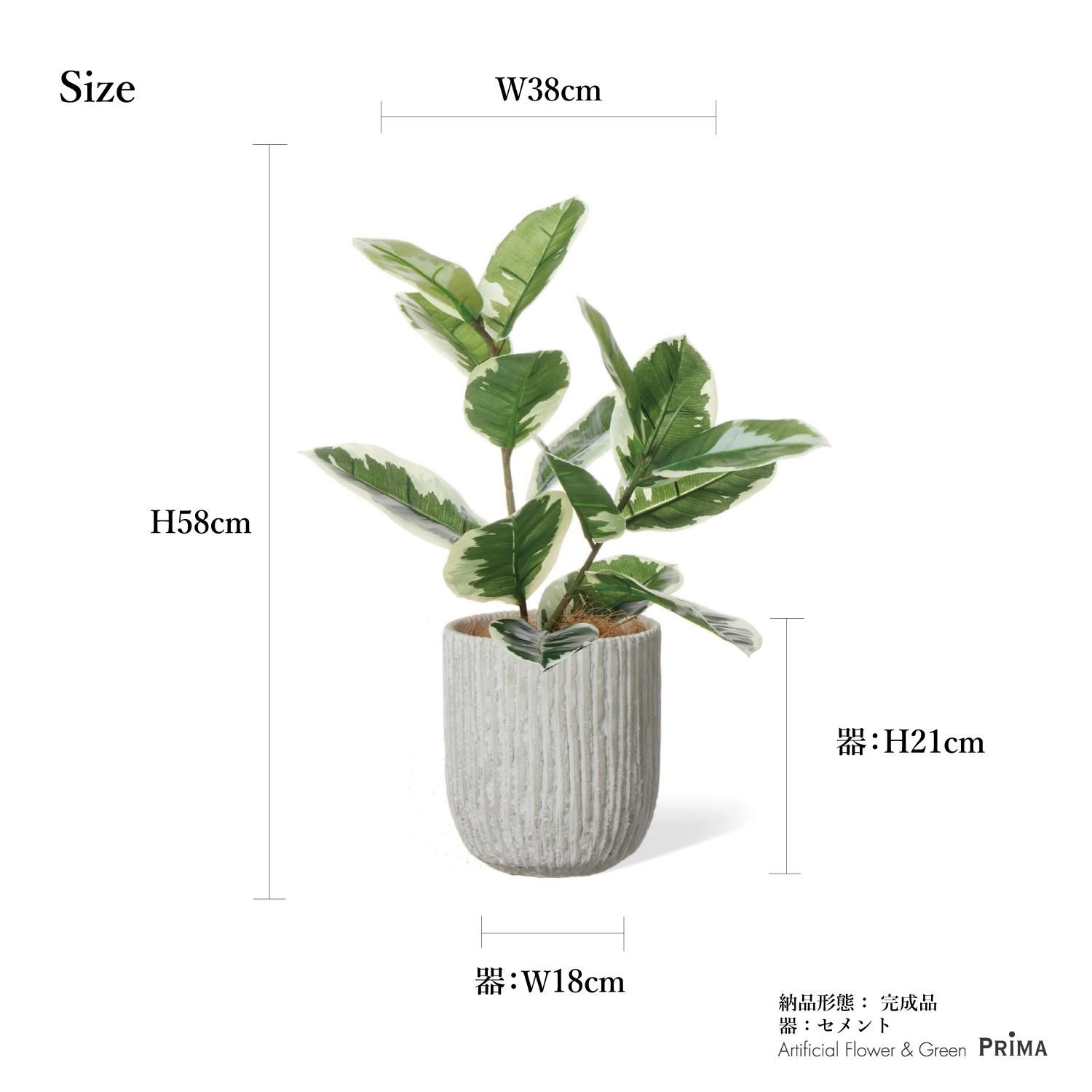 ゴムの木の観葉植物 フェイクグリーン | 造花専門店プリマ