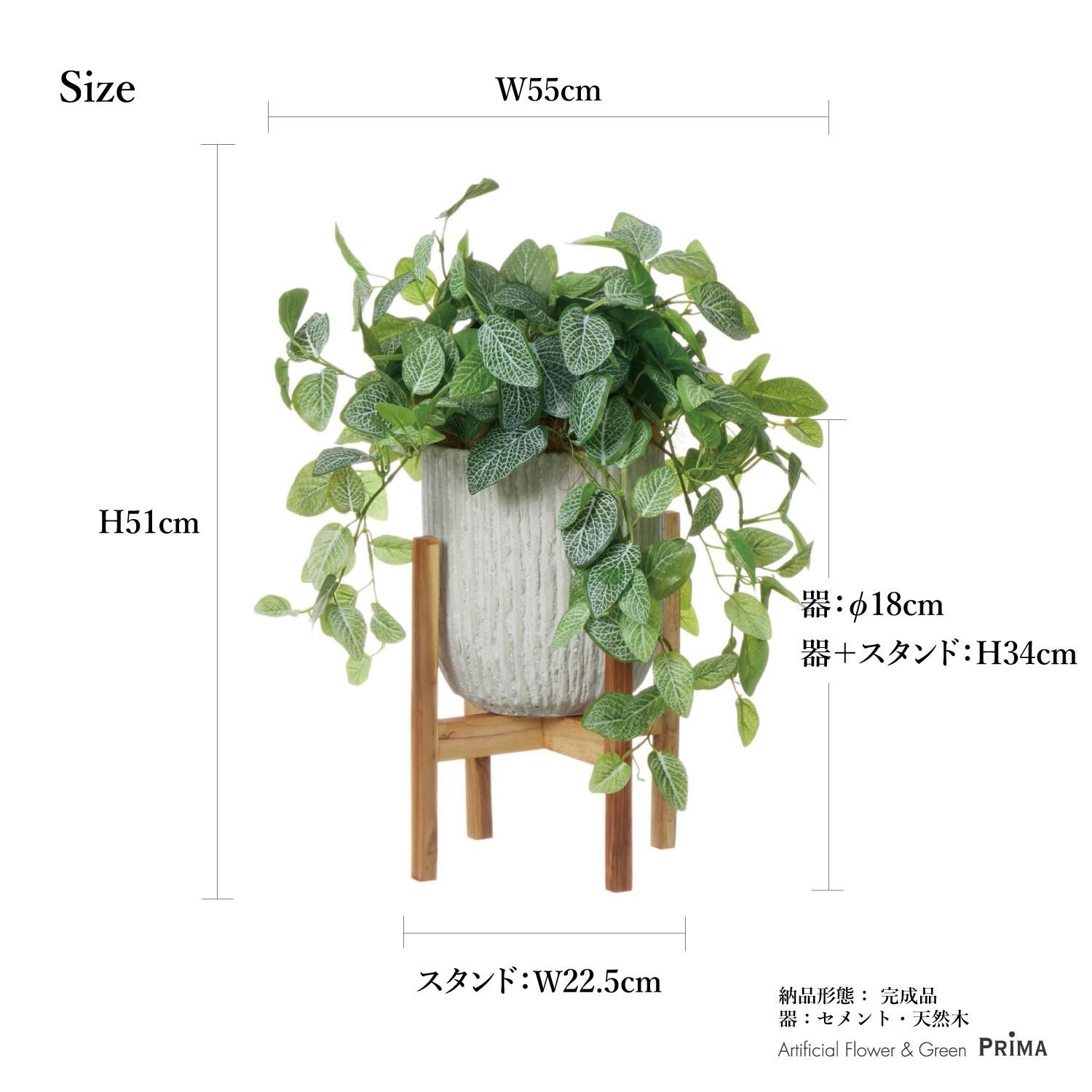 フィットニアの観葉植物 フェイクグリーン | 造花専門店プリマ