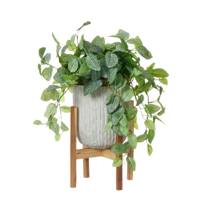 フィットニアの観葉植物 フェイクグリーン | 造花専門店プリマ