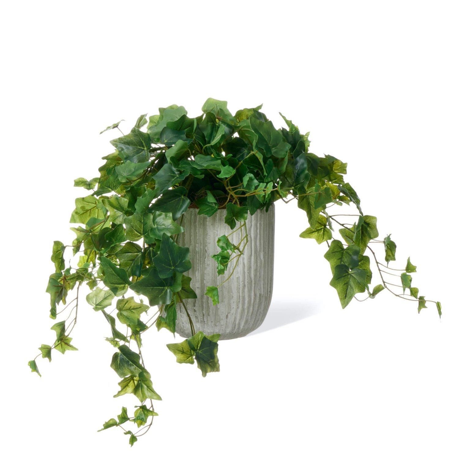 フェイクグリーンの観葉植物です。