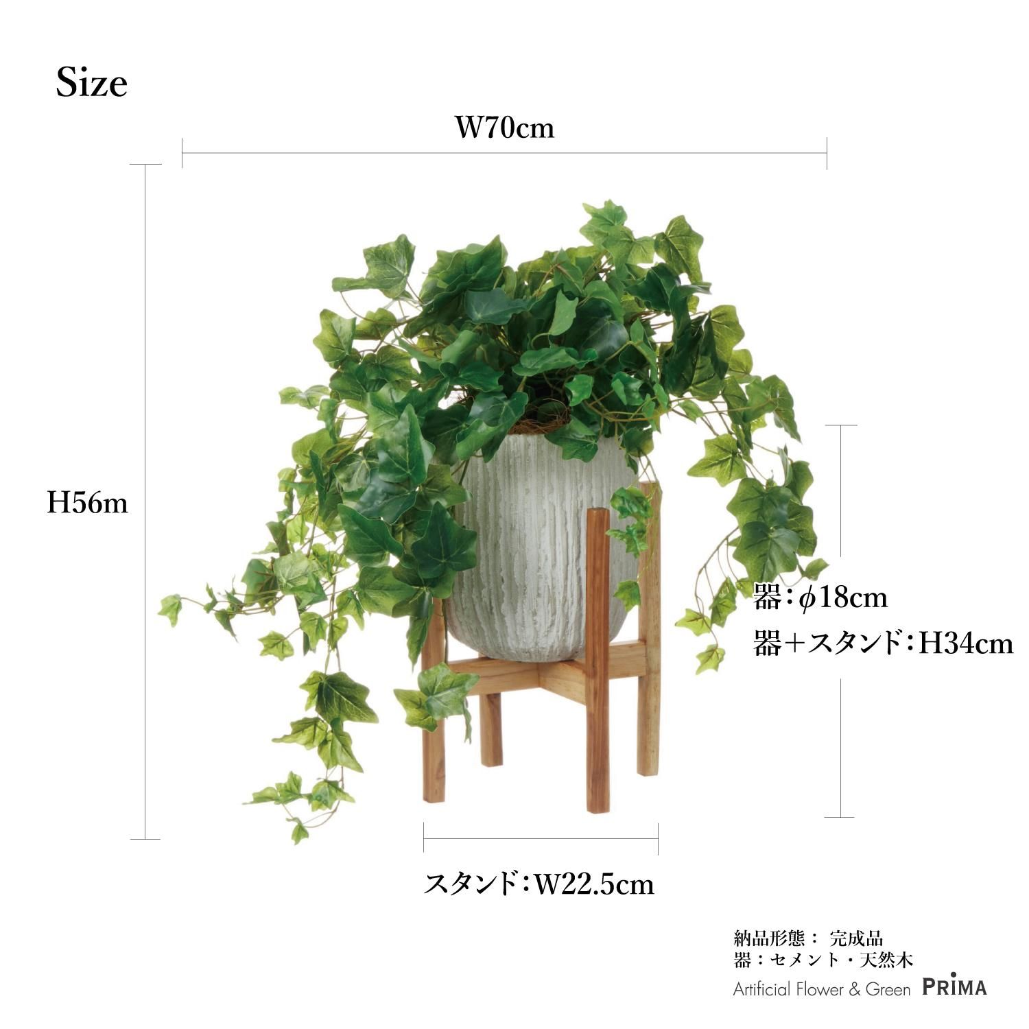 ӡ ٥ꥹݥå  H56cm տʪ ե꡼