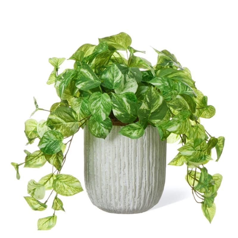 ポトスの観葉植物 フェイクグリーン | 造花専門店プリマ