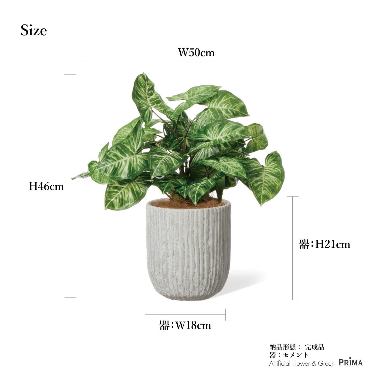 フェイクグリーン　観葉植物 カラジウムの観葉植物 フェイクグリーン | 造花専門店プリマ