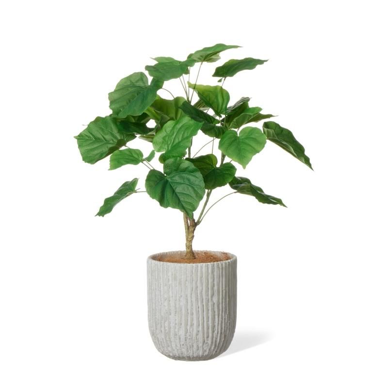 ウンベラータの観葉植物 フェイクグリーン | 造花専門店プリマ