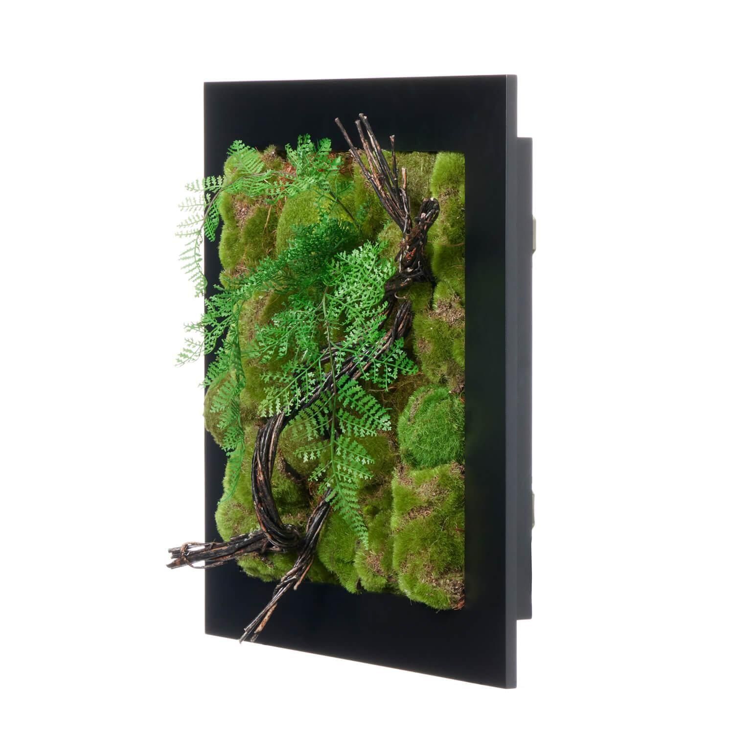   ե졼 CUPBON ߺ ե꡼