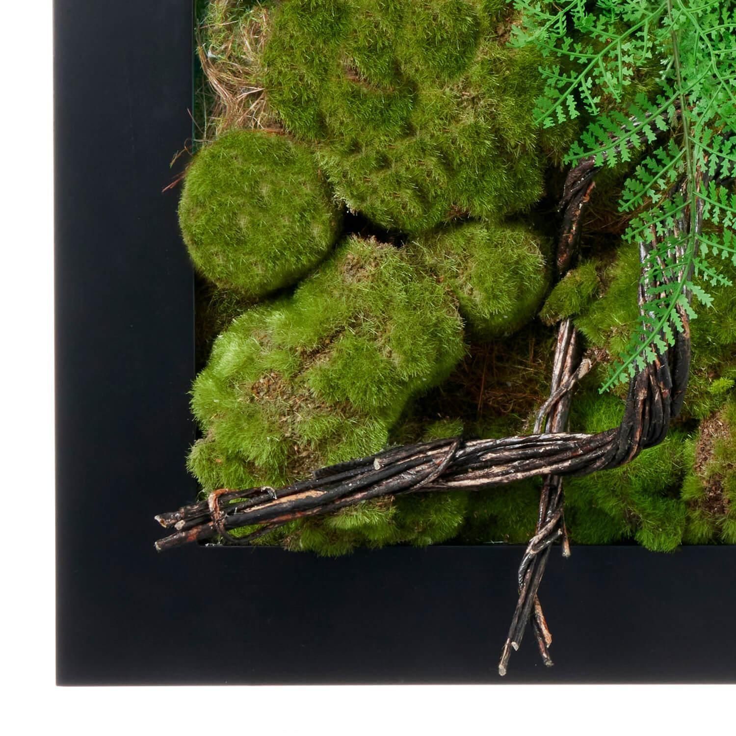   ե졼 CUPBON ߺ ե꡼