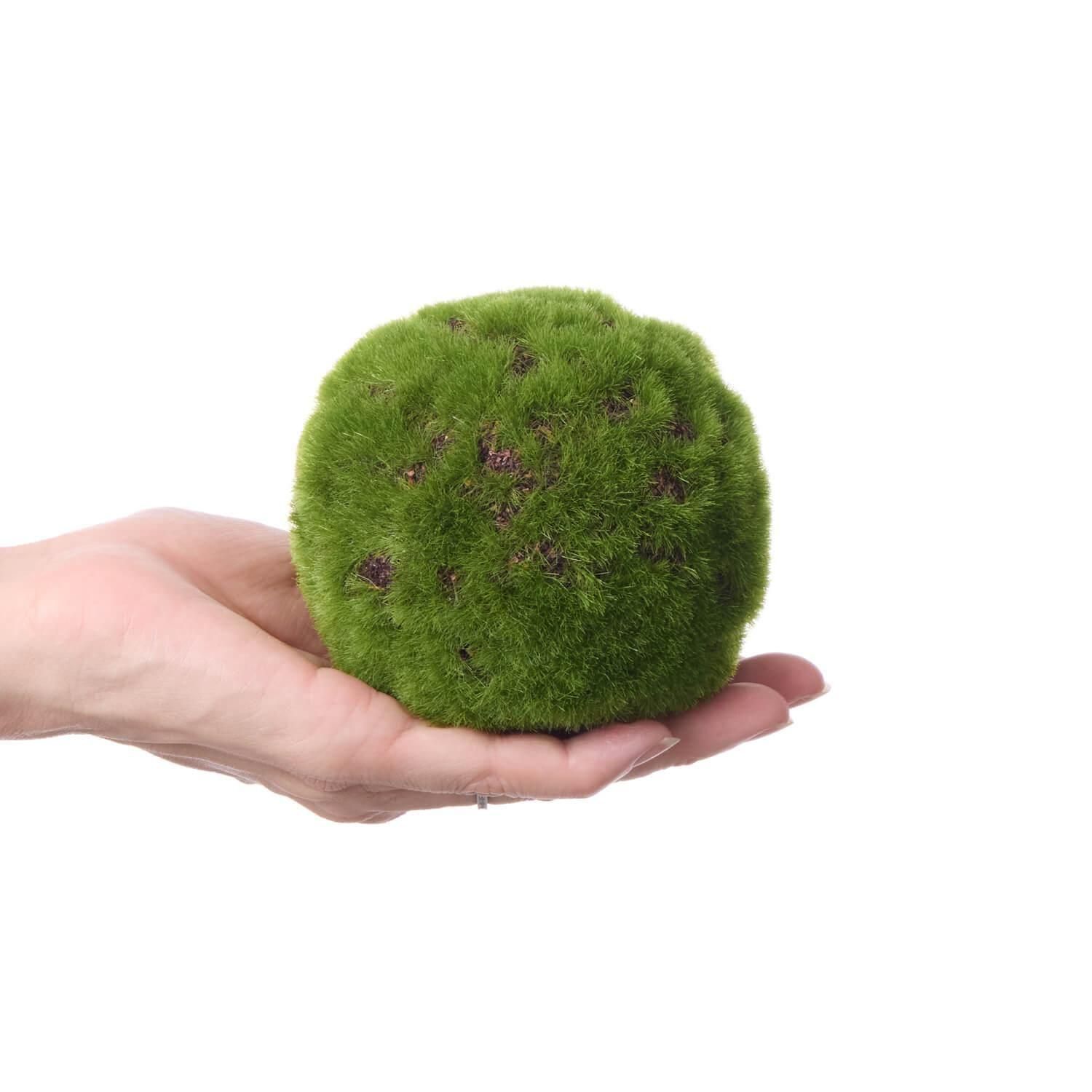   ե졼 CUPBON ߺ ե꡼