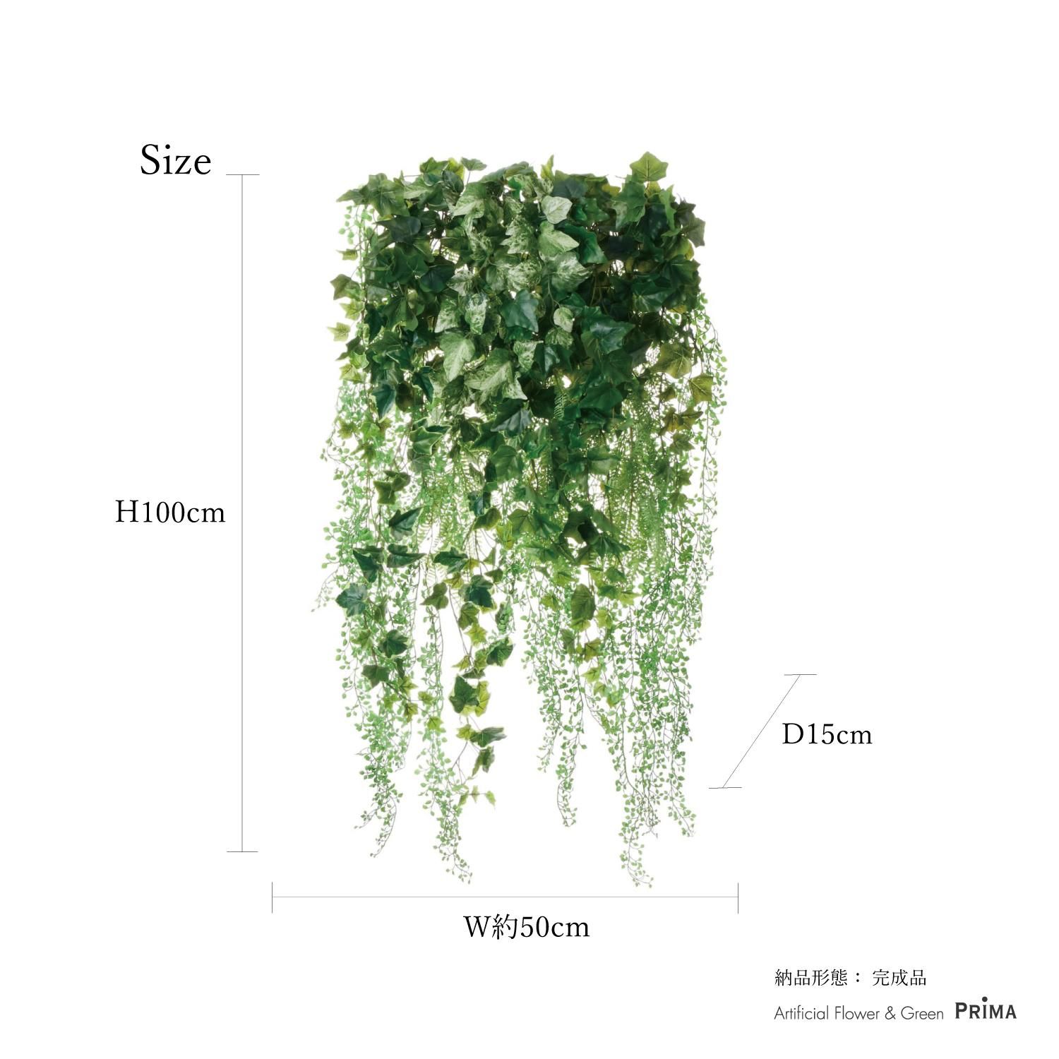 ӡ ꡼󥫡ƥ  տʪ ե꡼