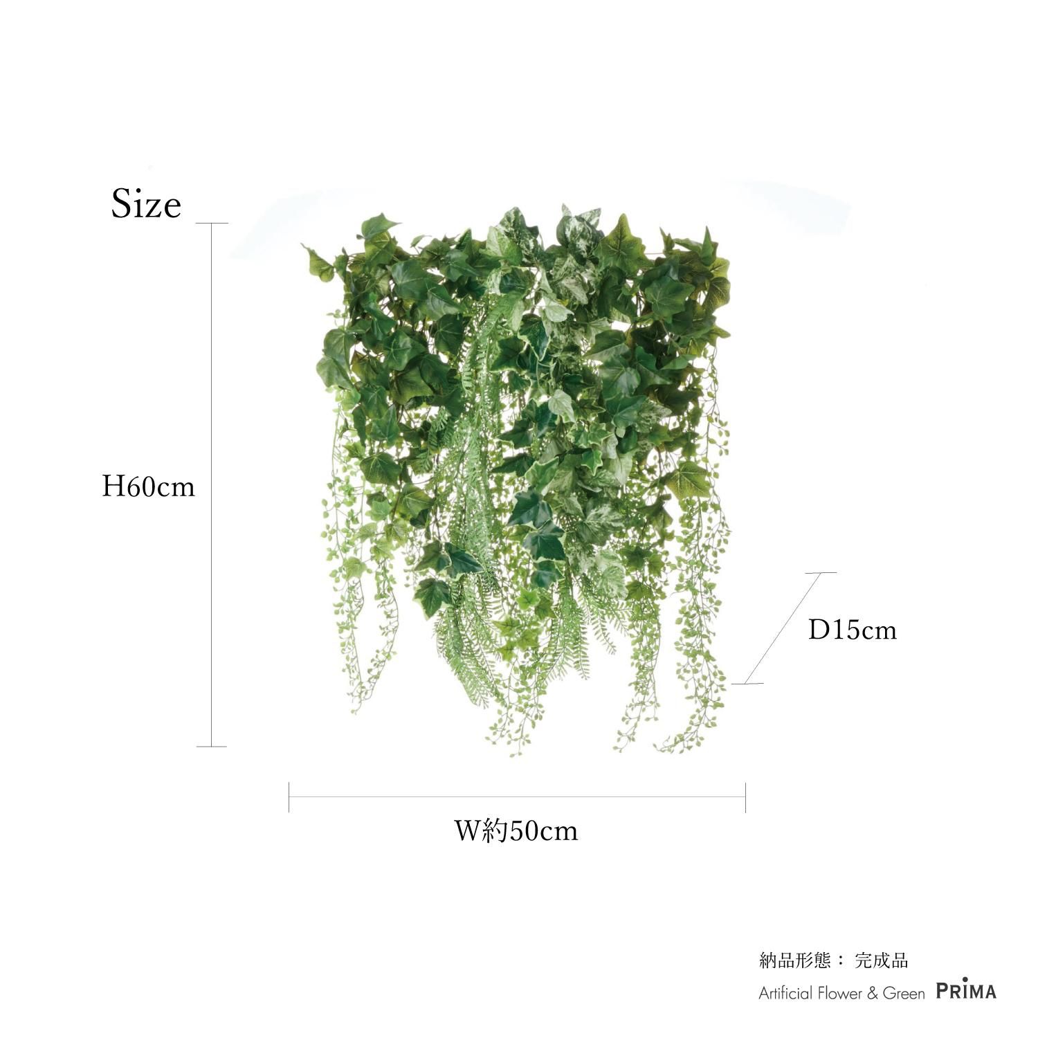 ӡ ꡼󥫡ƥ 硼 տʪ ե꡼