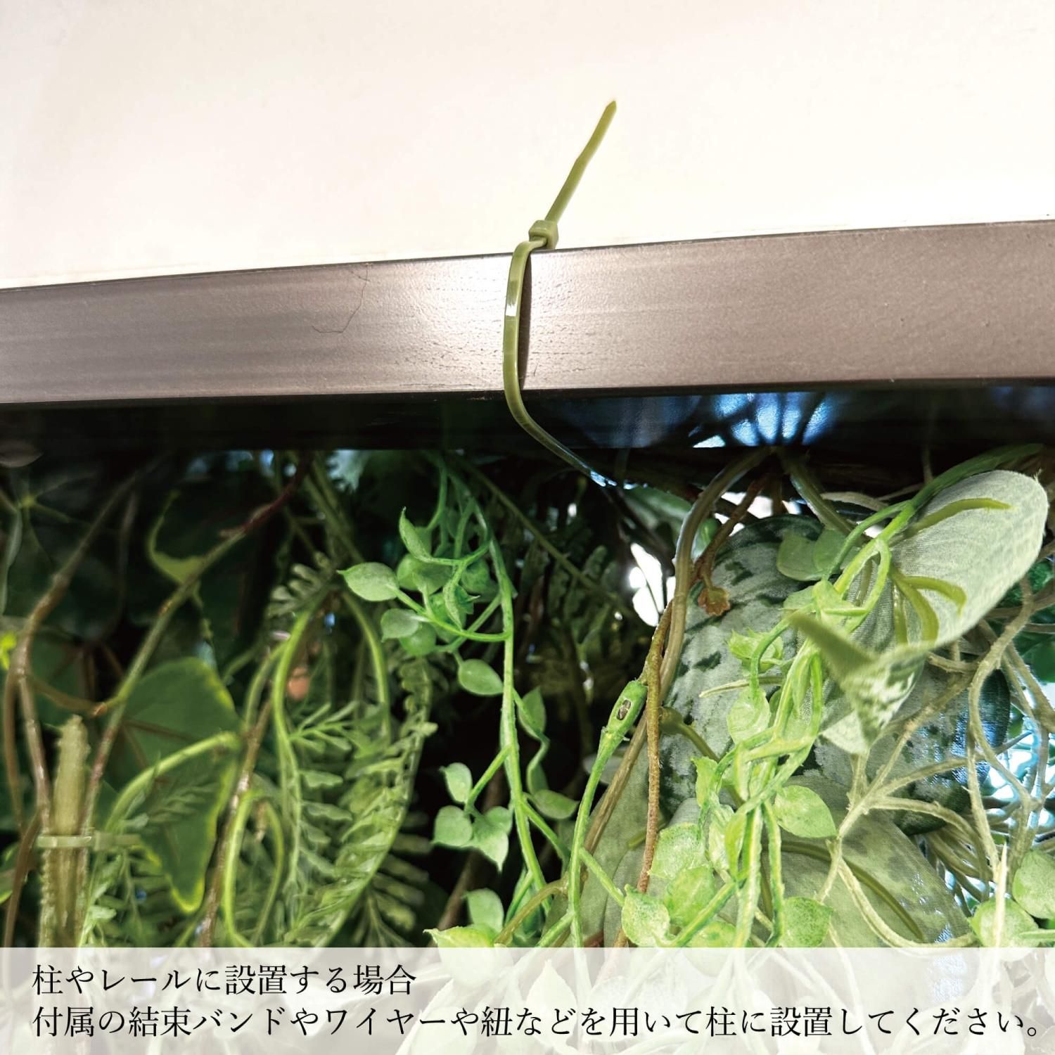 ץ ꡼󥫡ƥ  տʪ ե꡼