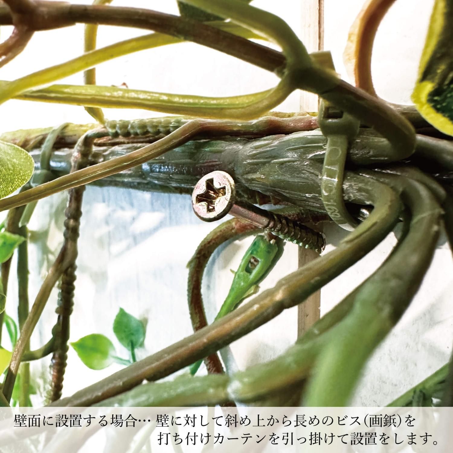 ץ ꡼󥫡ƥ  տʪ ե꡼