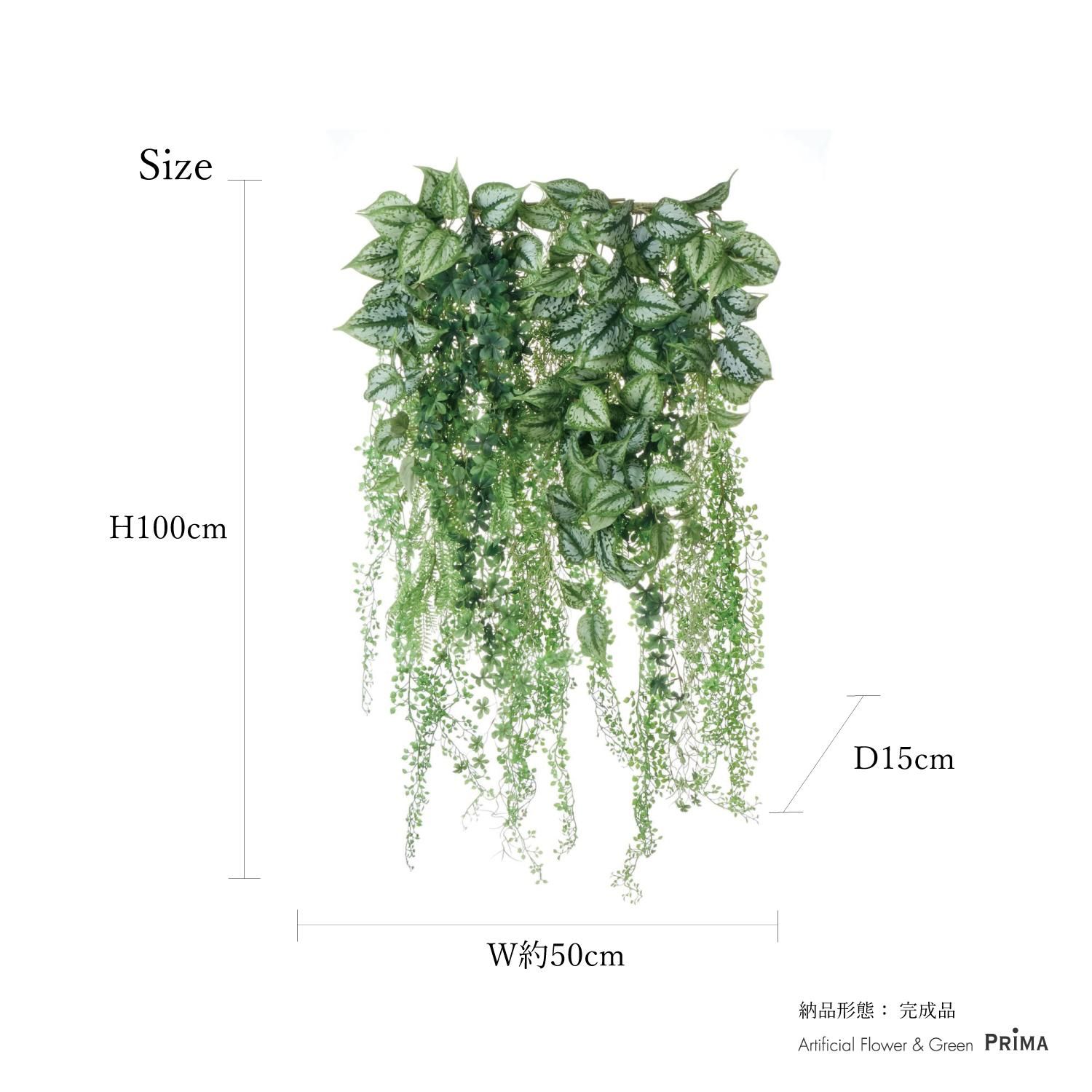 ץ ꡼󥫡ƥ  տʪ ե꡼