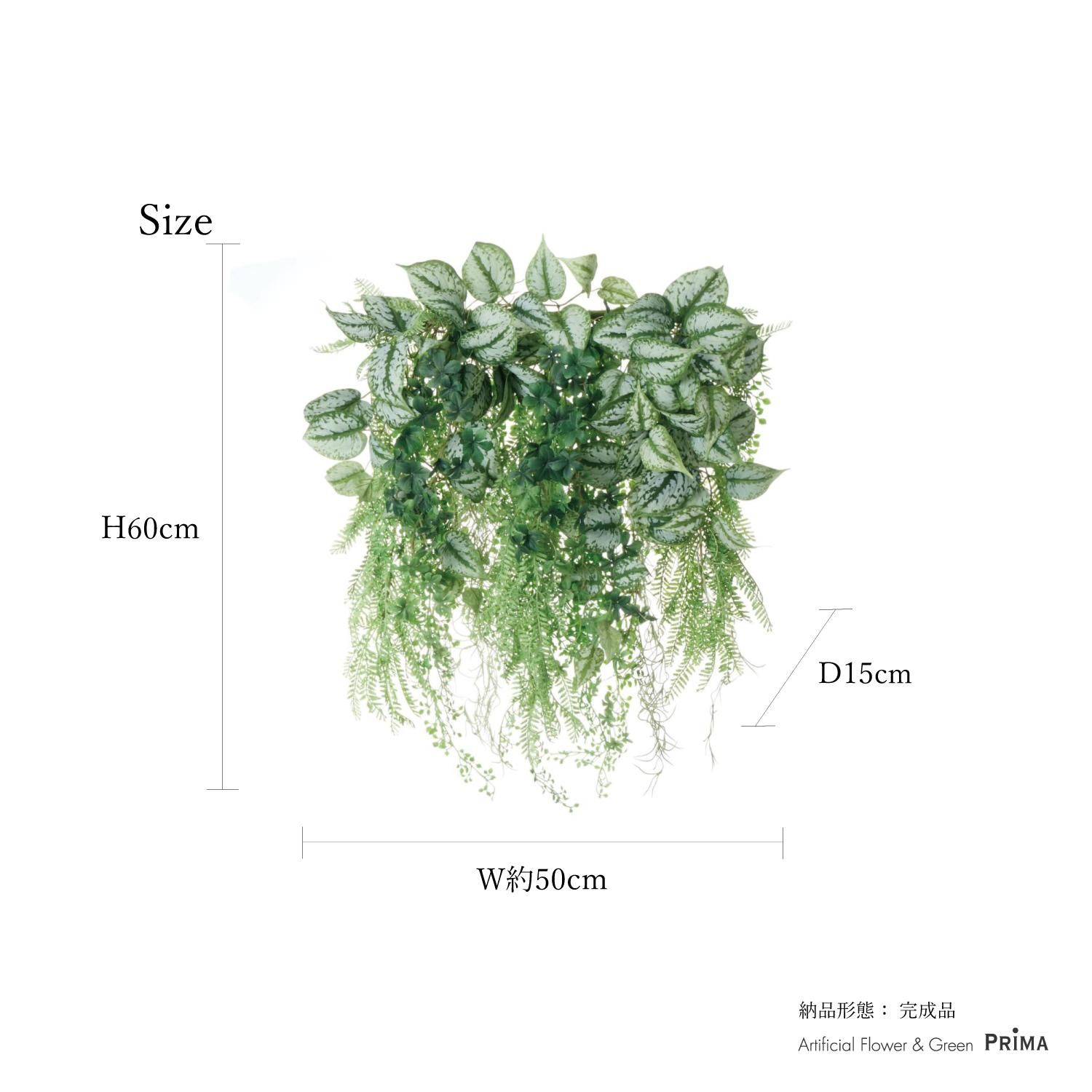 ץ ꡼󥫡ƥ 硼 տʪ ե꡼