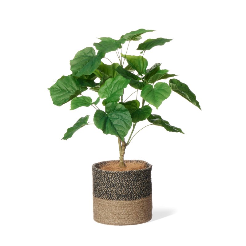 ウンベラータ ジュートポット H63cm 観葉植物 フェイクグリーン