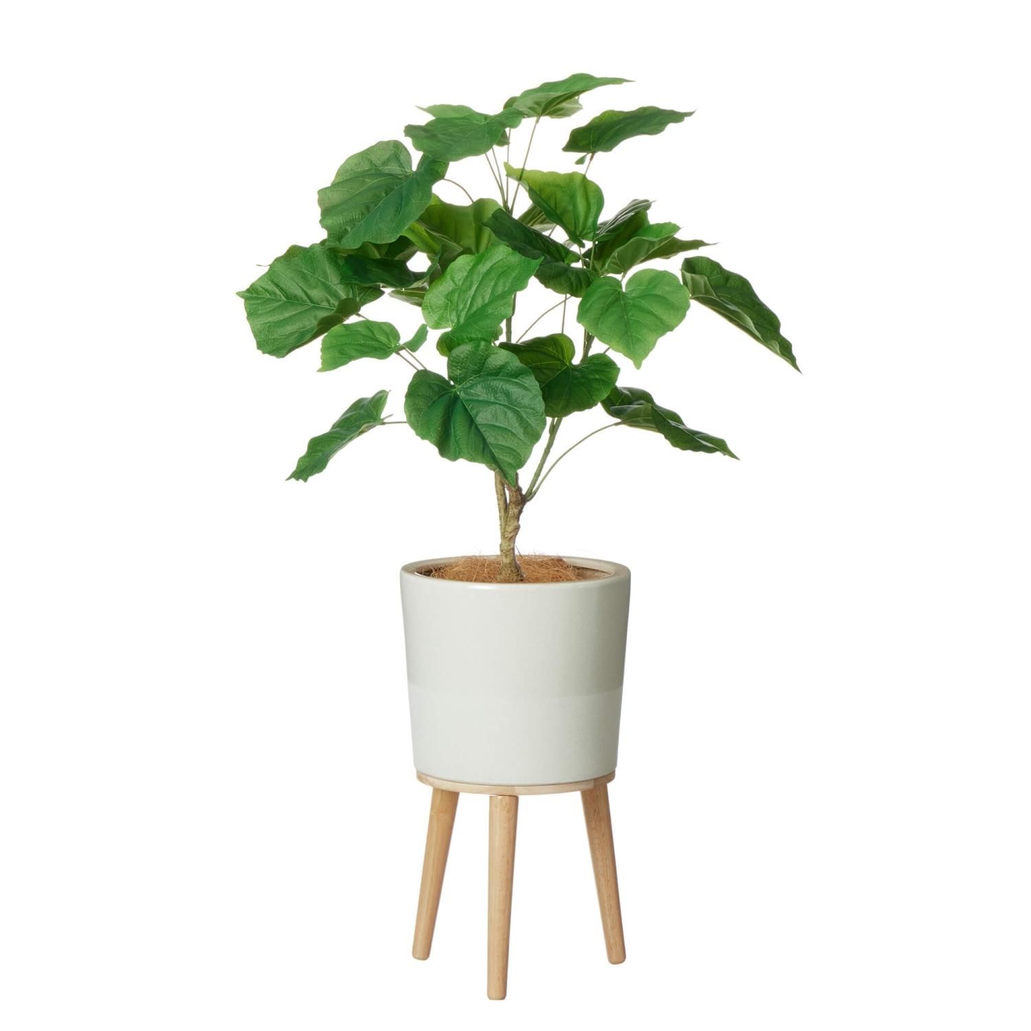 ウンベラータの観葉植物 フェイクグリーン | 造花専門店プリマ