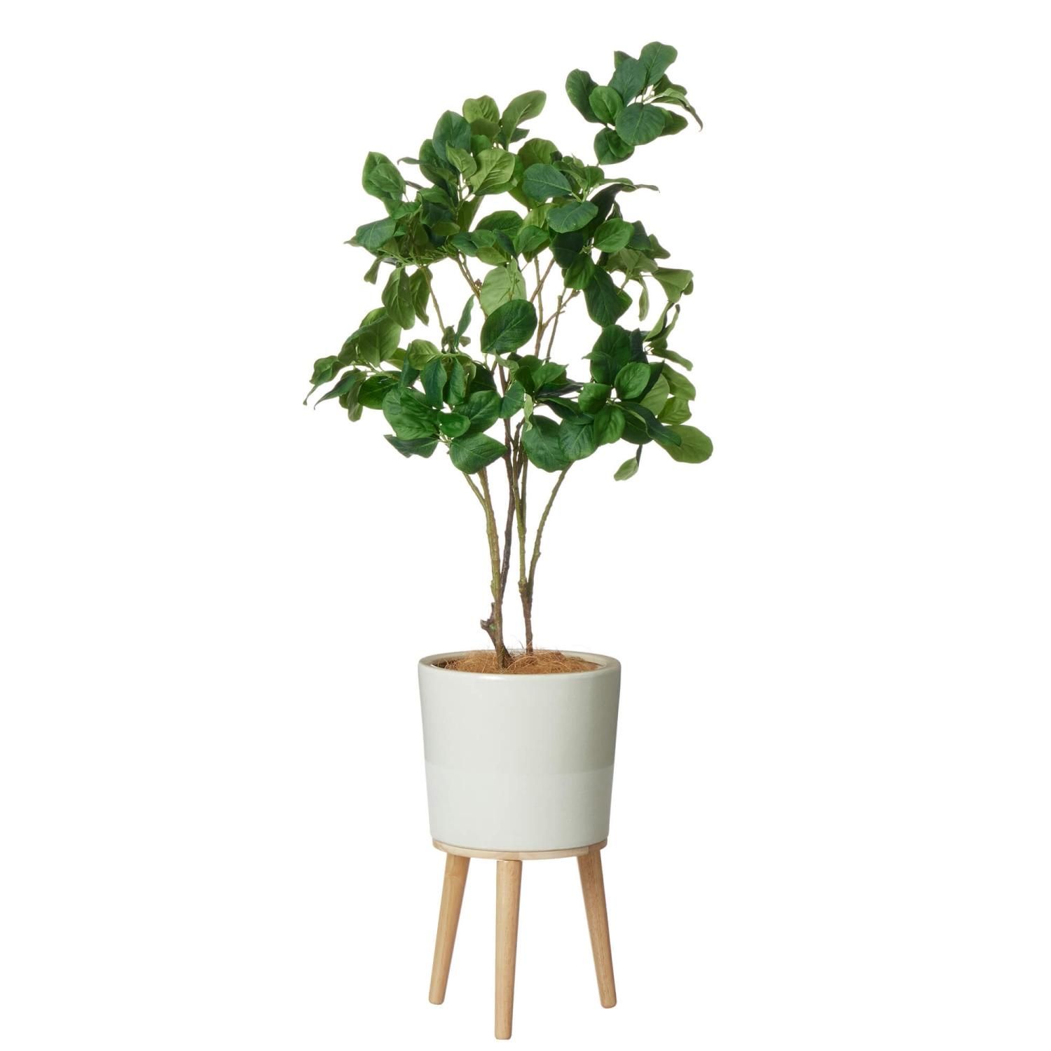 マグノリアの観葉植物 フェイクグリーン | 造花専門店プリマ