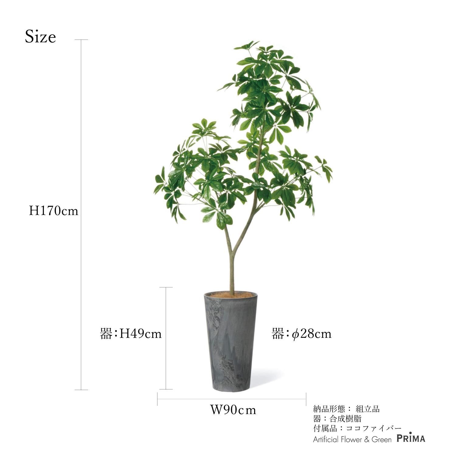 ե 饦ɥݥå H170cm տʪ ե꡼ Ҹľʡ eco