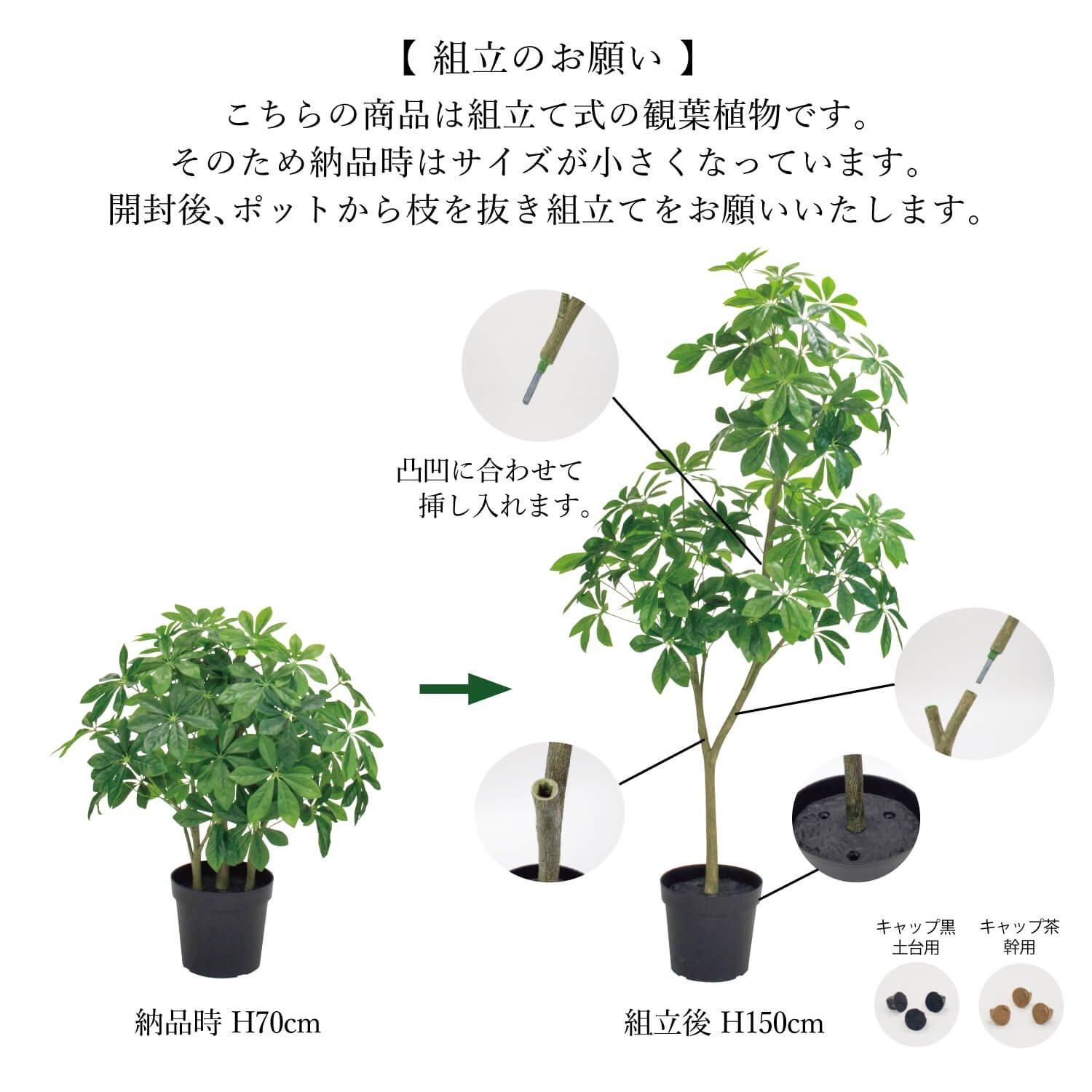 シェフレラの観葉植物 フェイクグリーン | 造花専門店プリマ