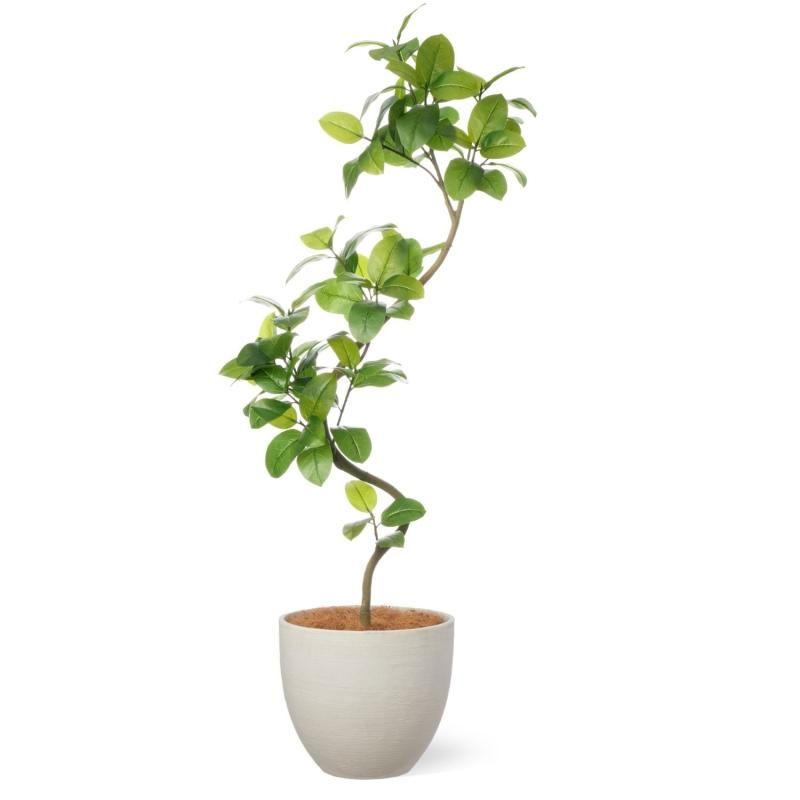 人工観葉植物 約160cm 位　ツイスト幹 Amazon｜フェイクグリーン 大型 人工観葉植物 160cm 樹脂鉢 緑葉