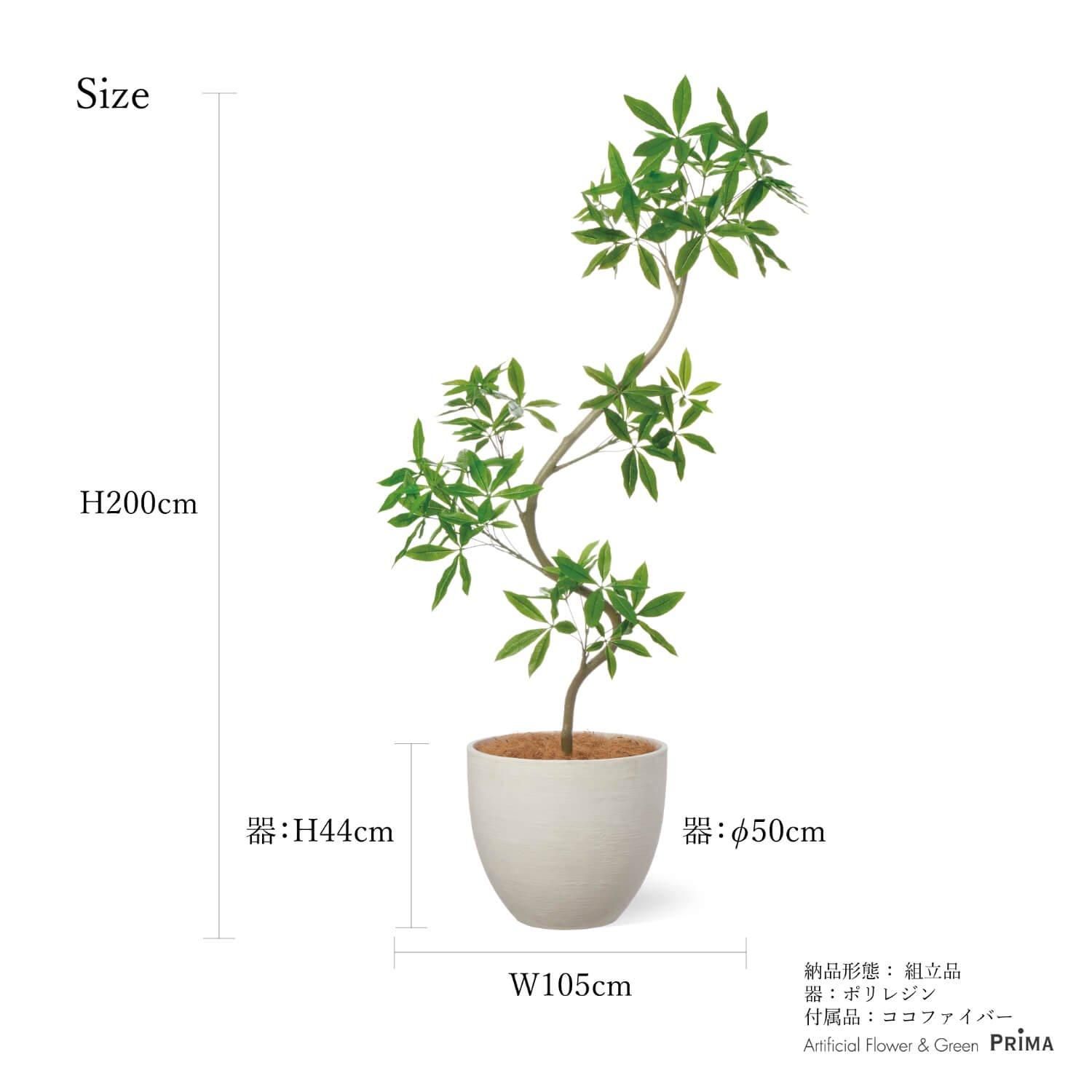 ツイストパキラの観葉植物 フェイクグリーン | 造花専門店プリマ
